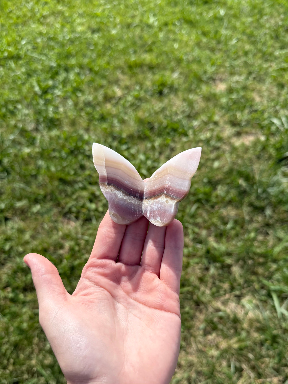 Misfit pink banded onyx butterflies