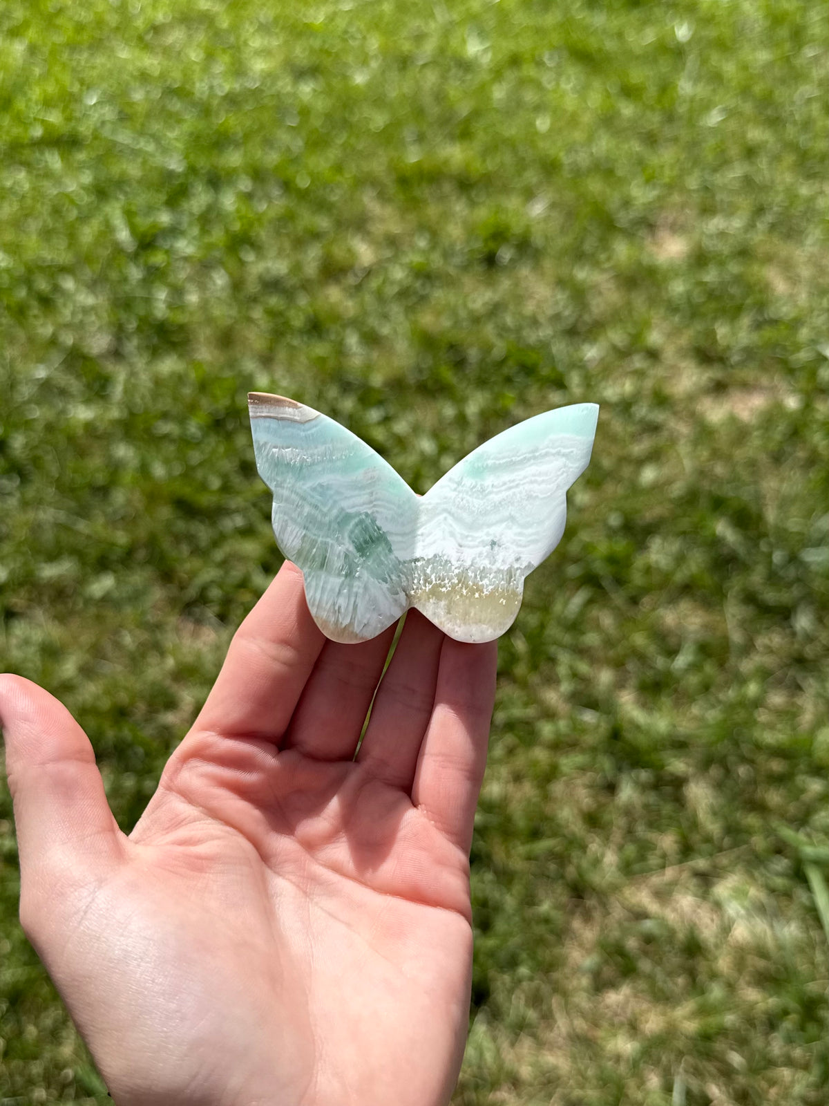 Caribbean calcite butterflies