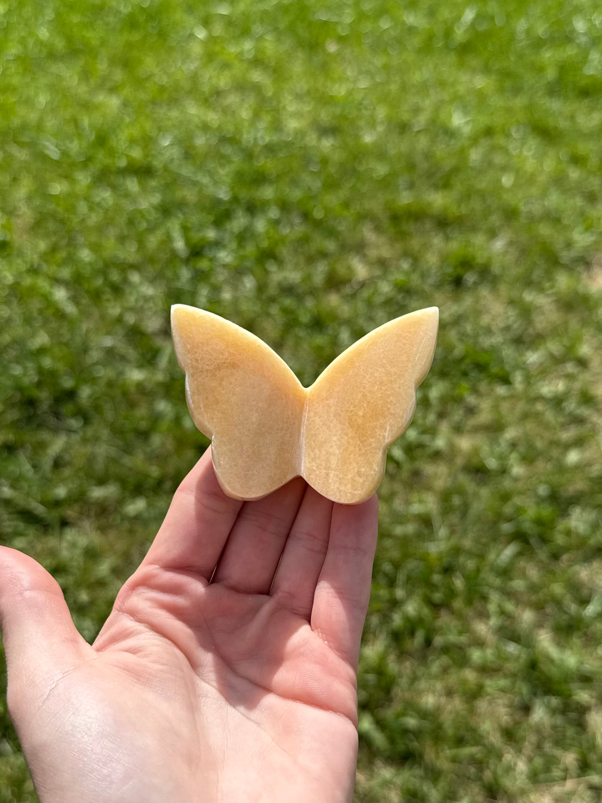 Orange calcite butterflies