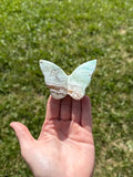 Caribbean calcite butterflies