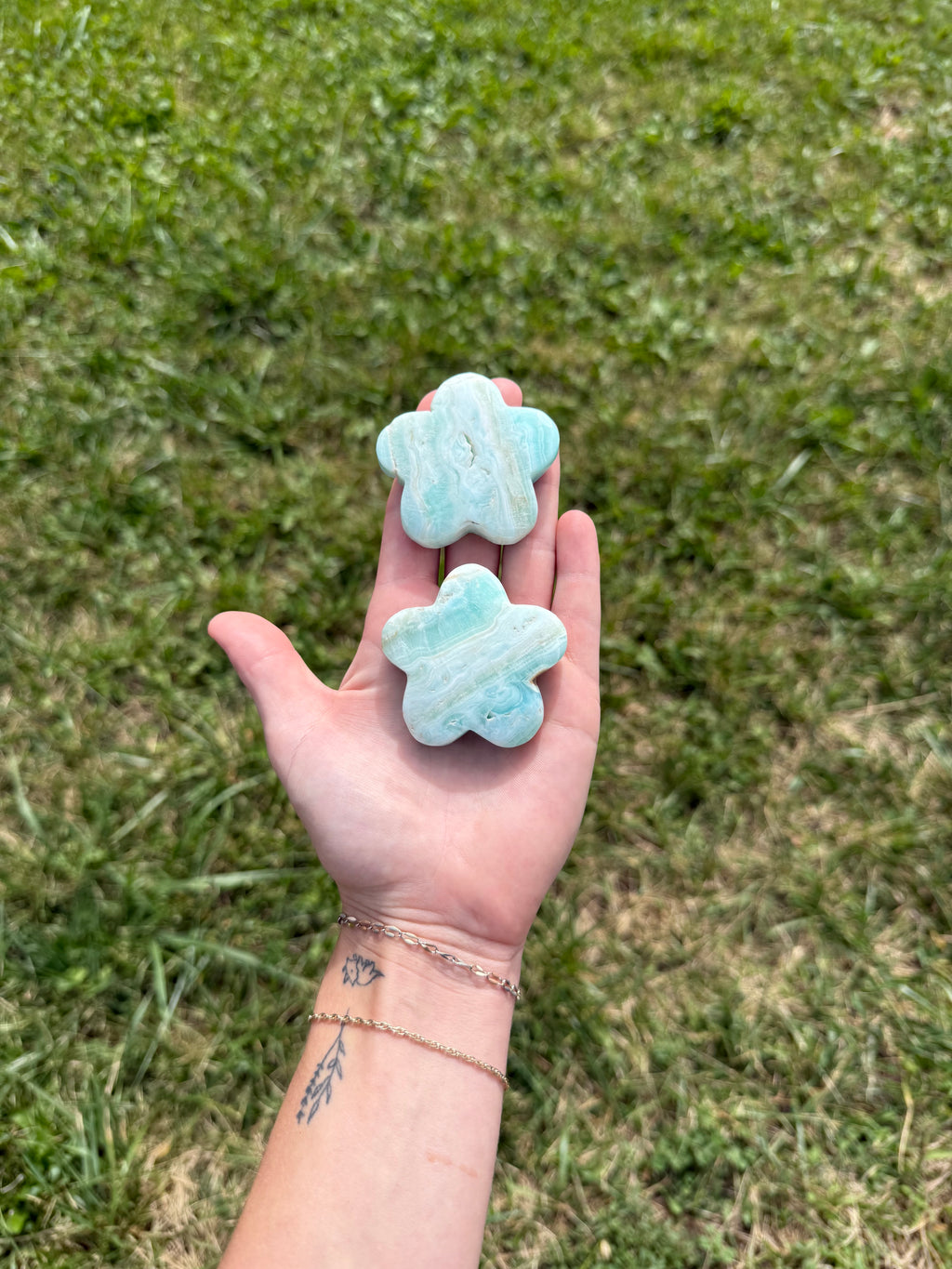 Caribbean calcite flowers