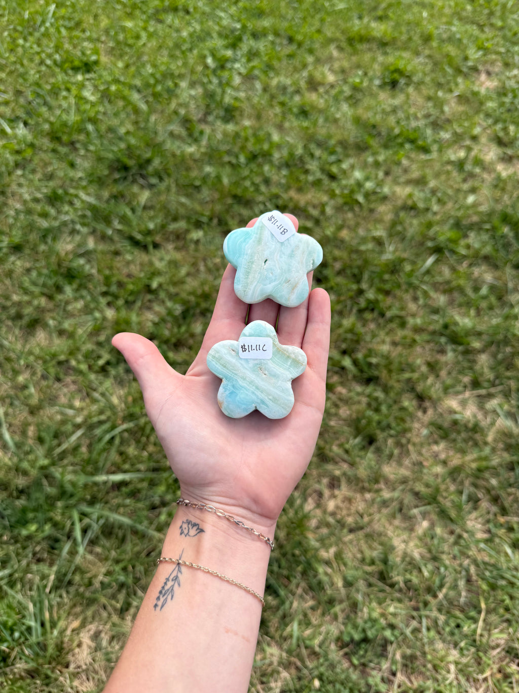 Caribbean calcite flowers