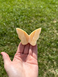 Orange calcite butterflies