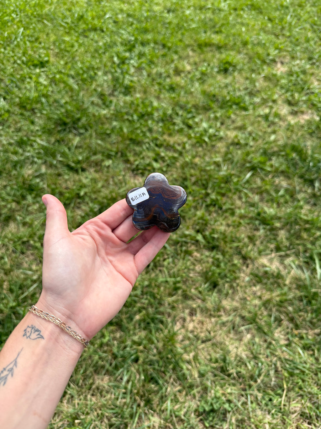 Tiger iron flower