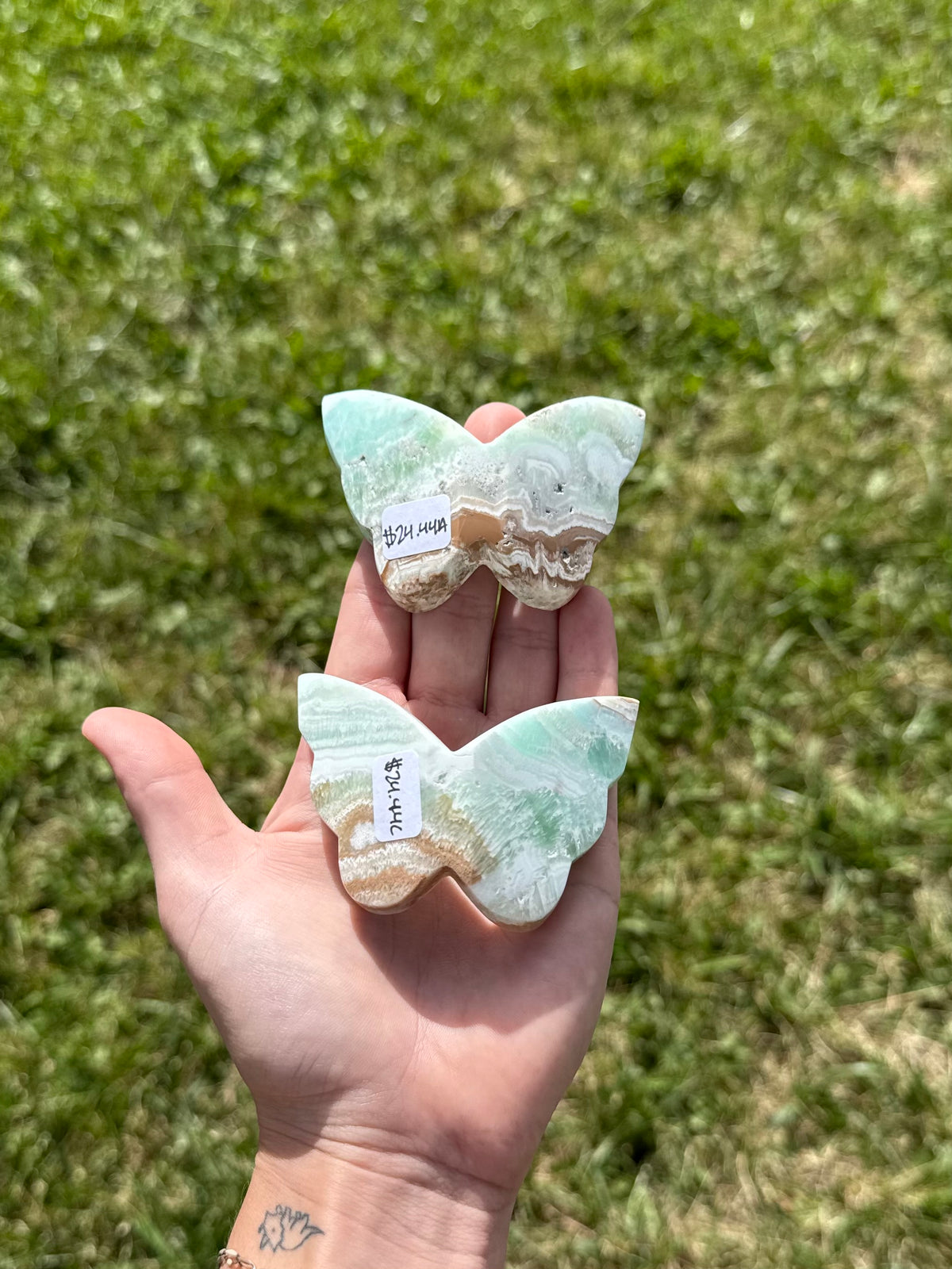 Caribbean calcite butterflies
