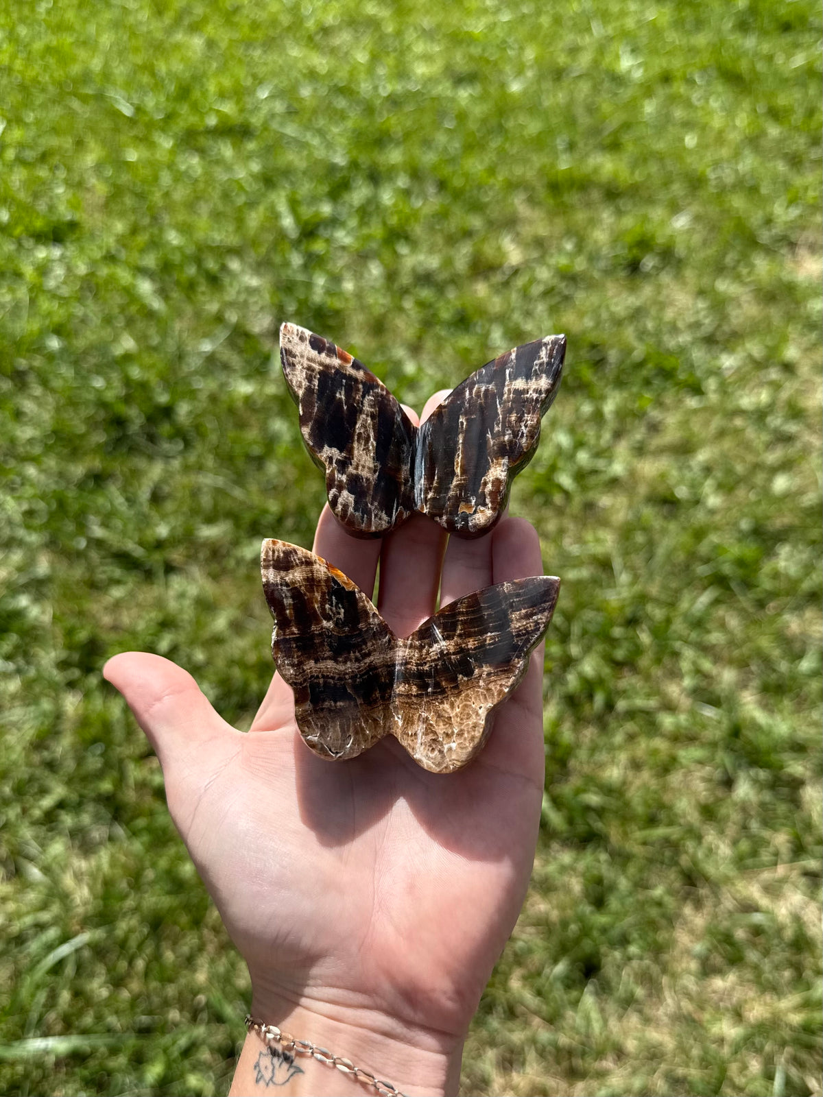 Chocolate calcite butterflies