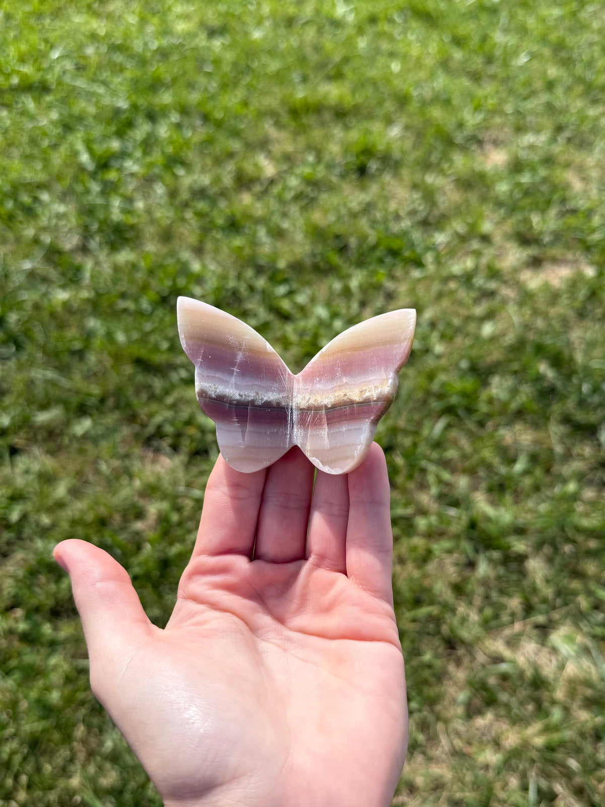 Misfit pink banded onyx butterflies