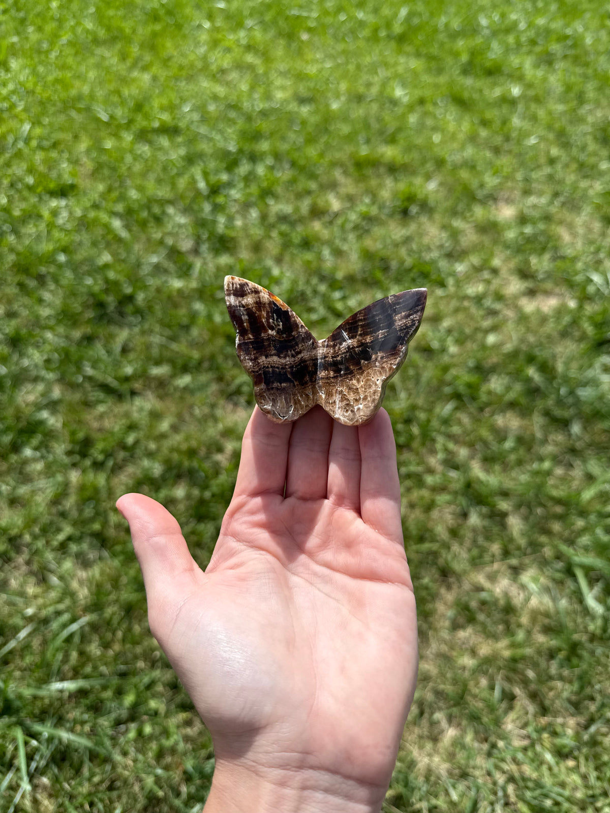 Chocolate calcite butterflies