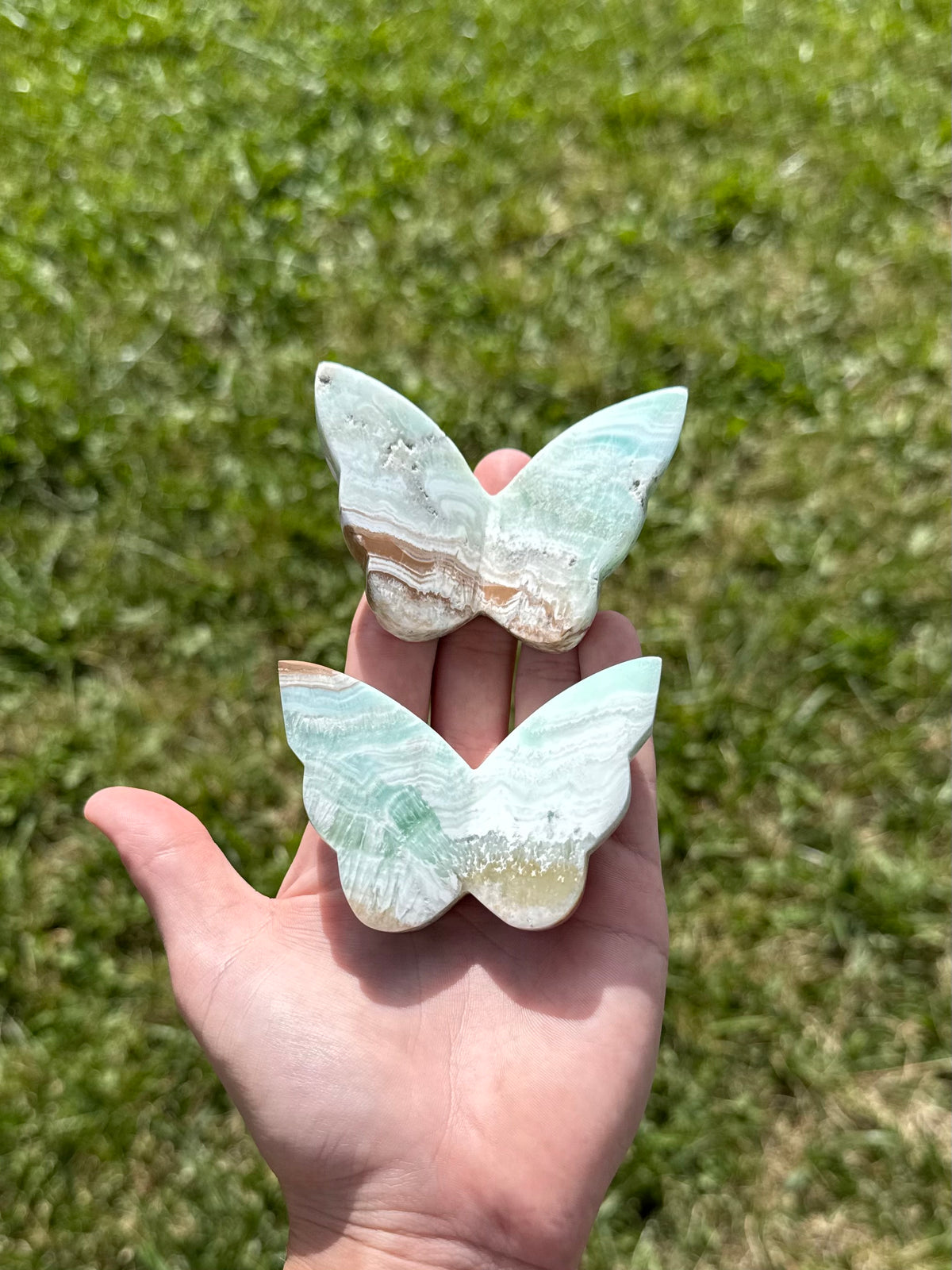 Caribbean calcite butterflies
