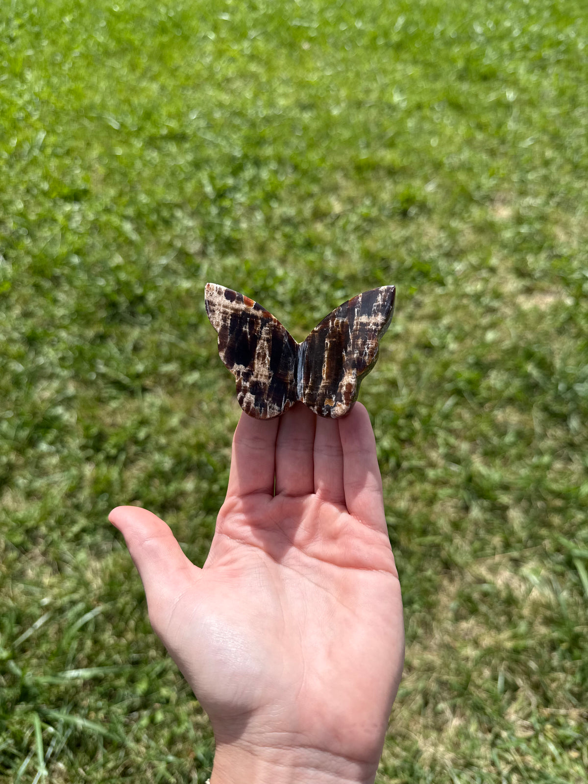 Chocolate calcite butterflies