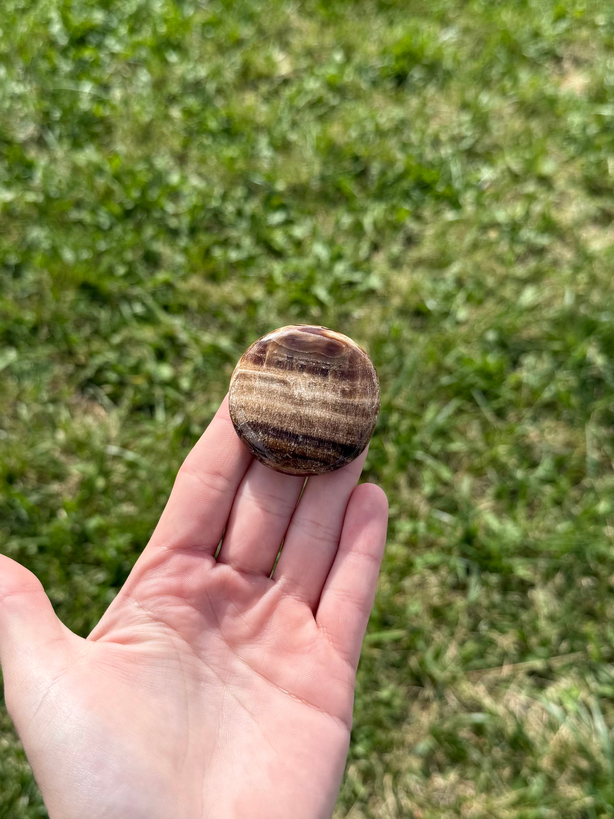 Large chocolate calcite round flats (UV reactive)