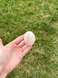 Medium pink banded onyx palm stones