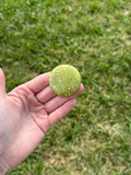 Medium serpentine round flat