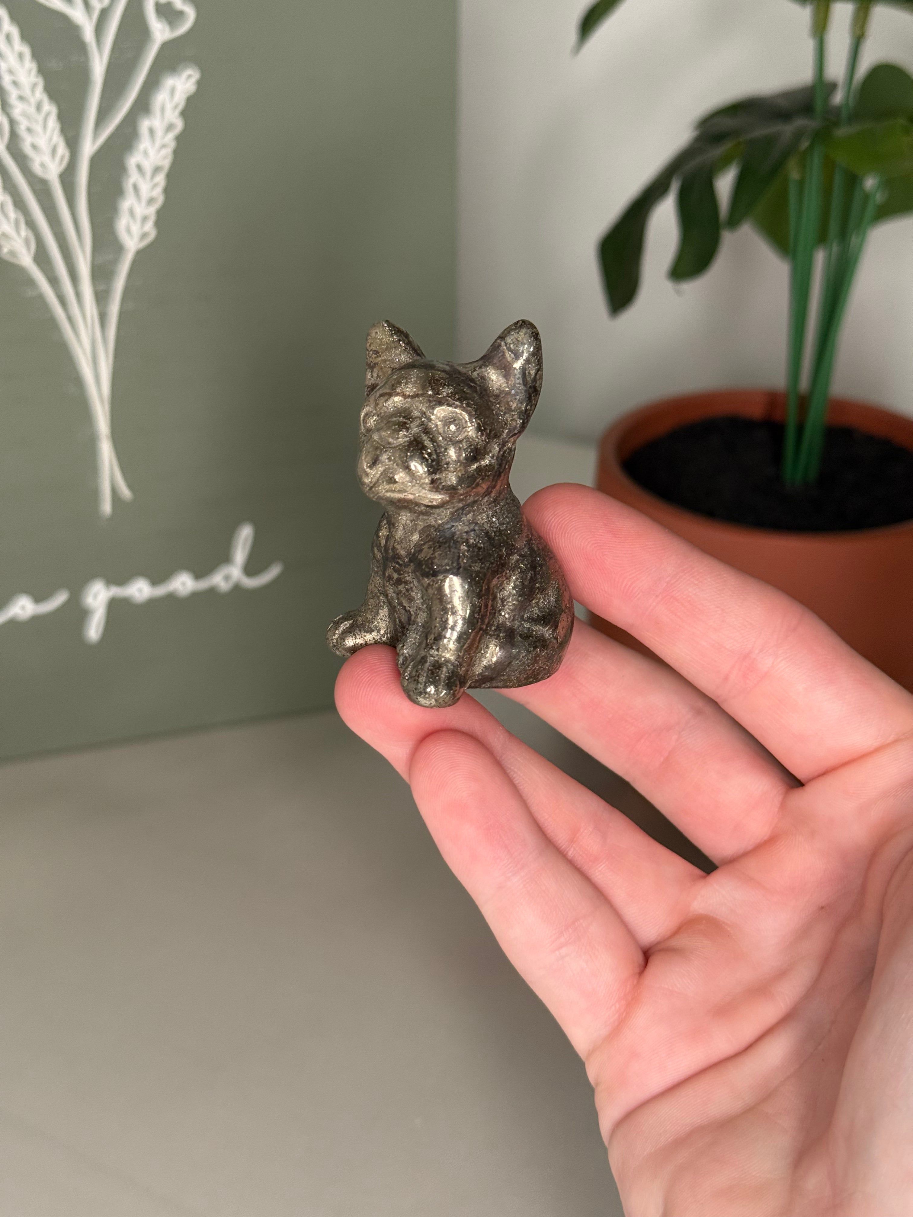 Pyrite frenchie