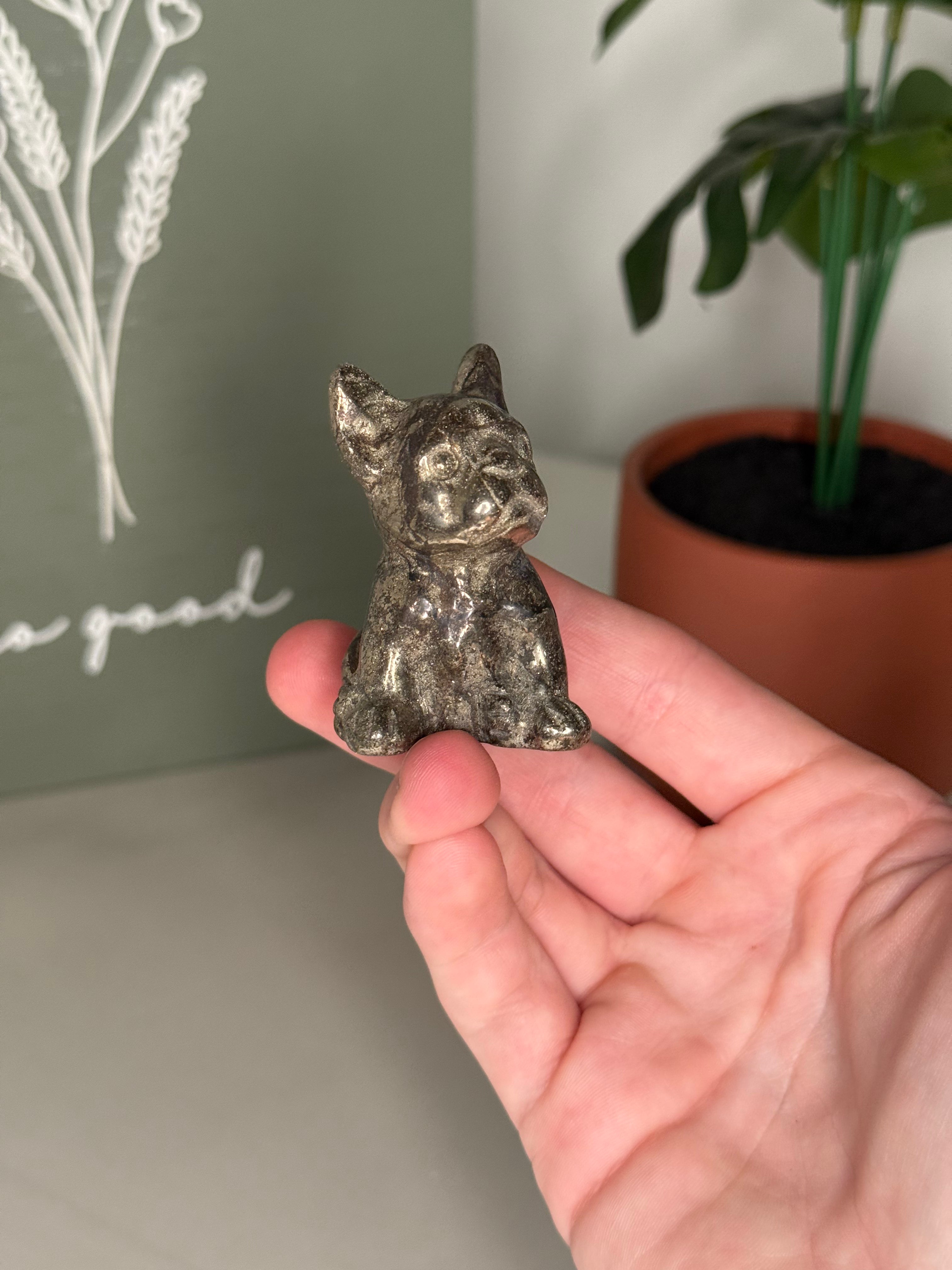 Pyrite frenchie
