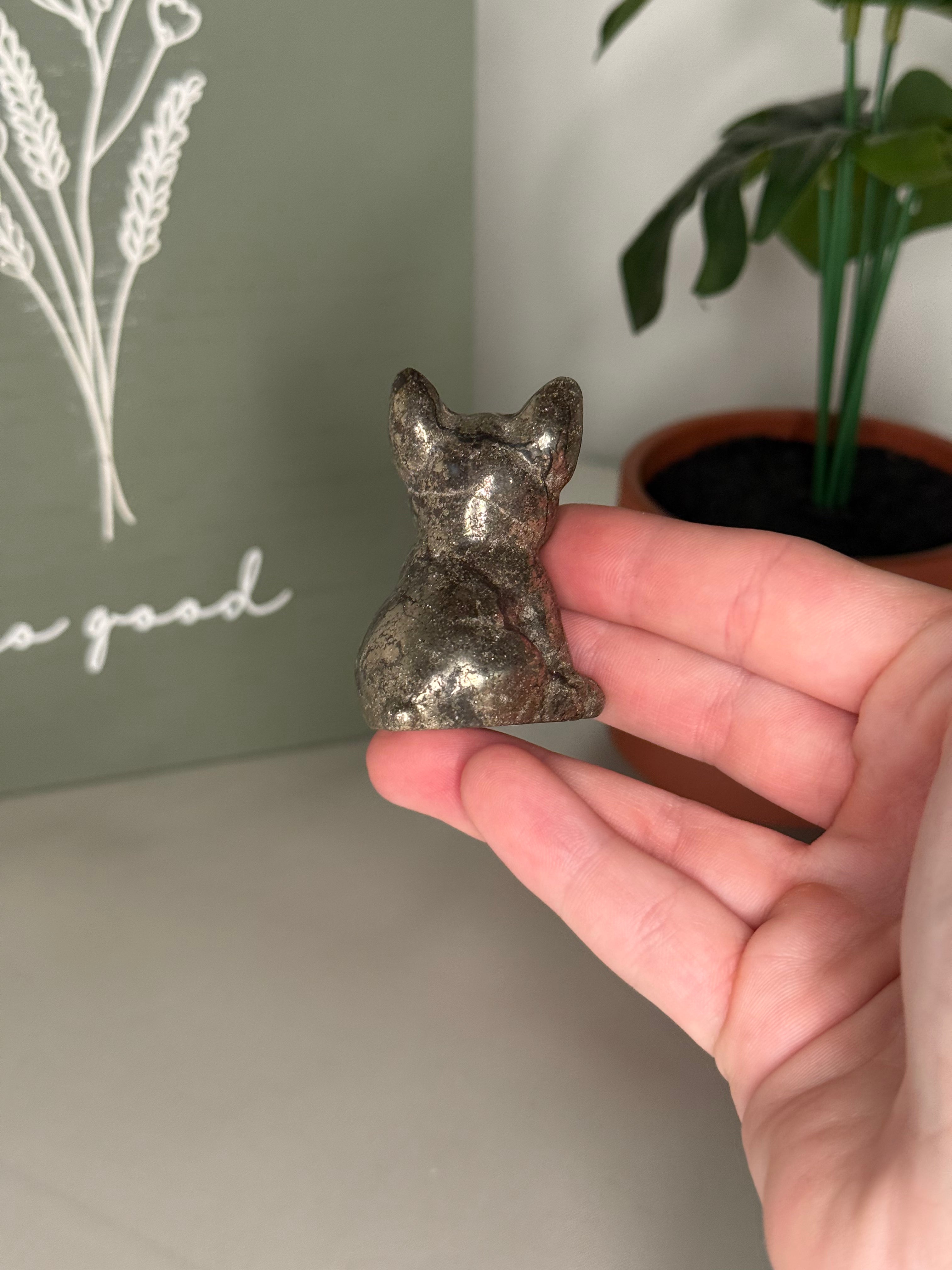 Pyrite frenchie
