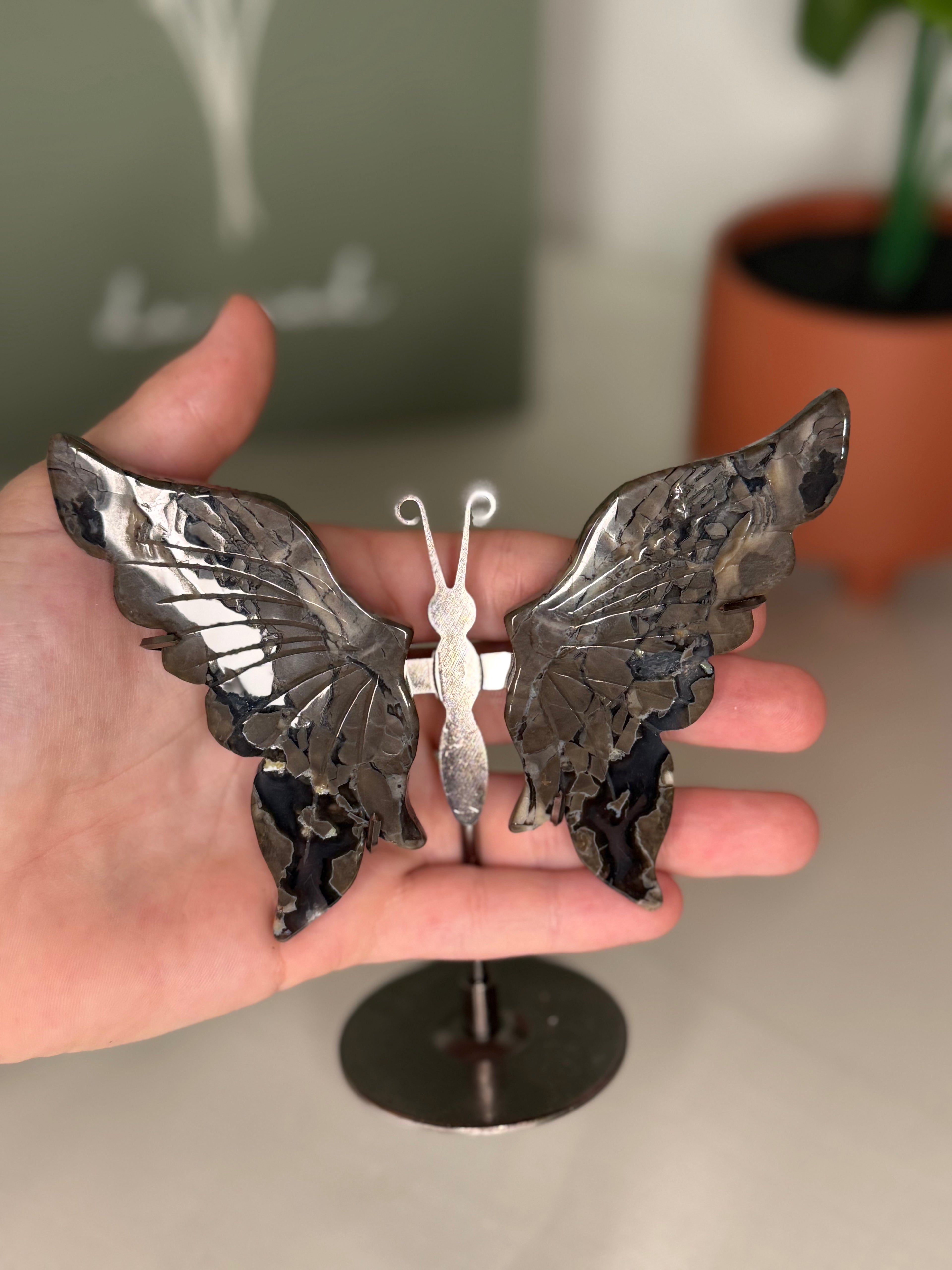 Volcano agate butterfly wings on a stand