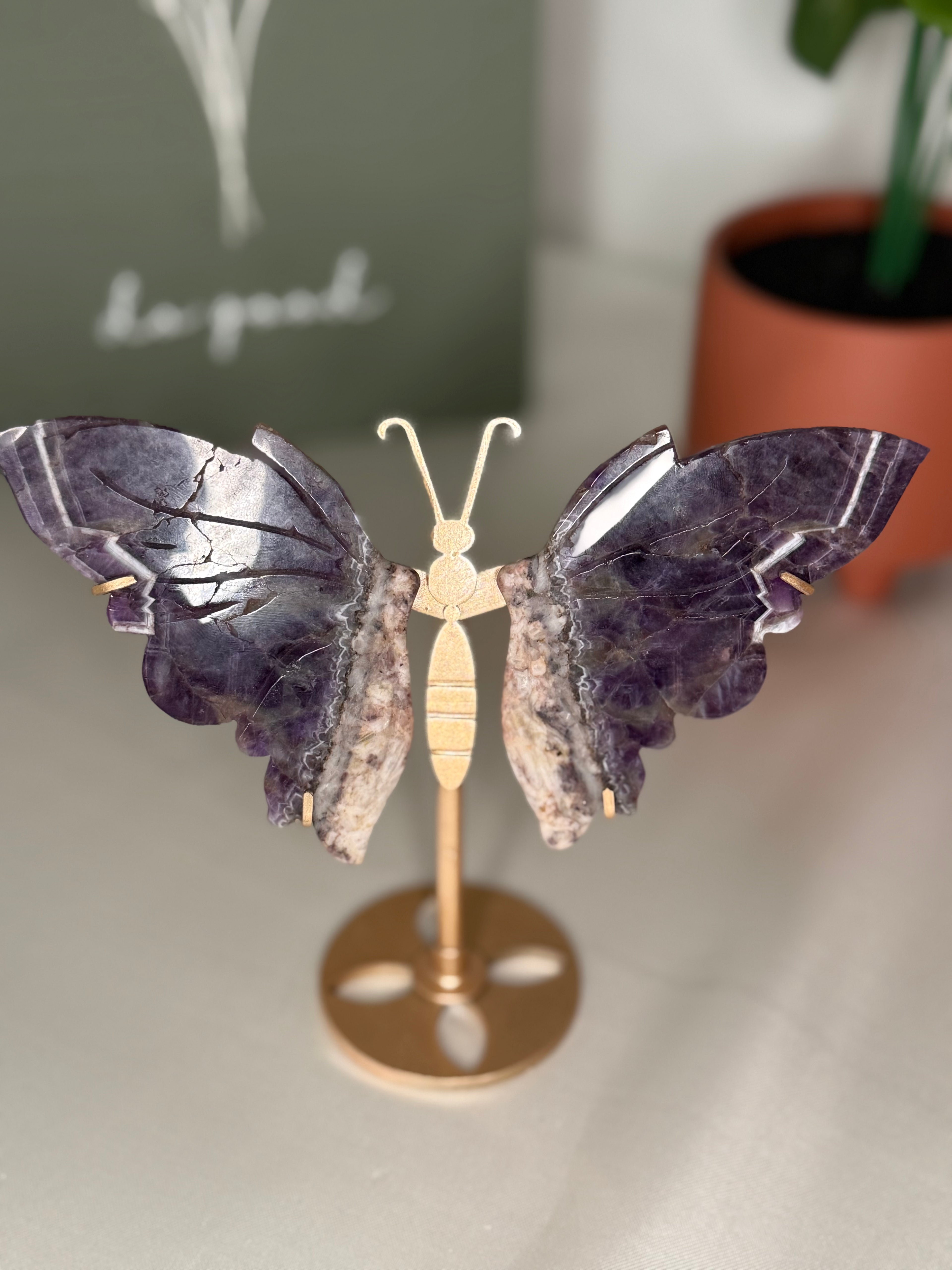 Chevron amethyst root butterfly wings on a stand