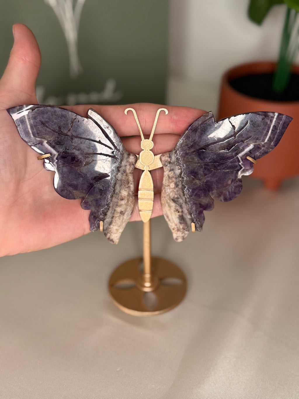 Chevron amethyst root butterfly wings on a stand