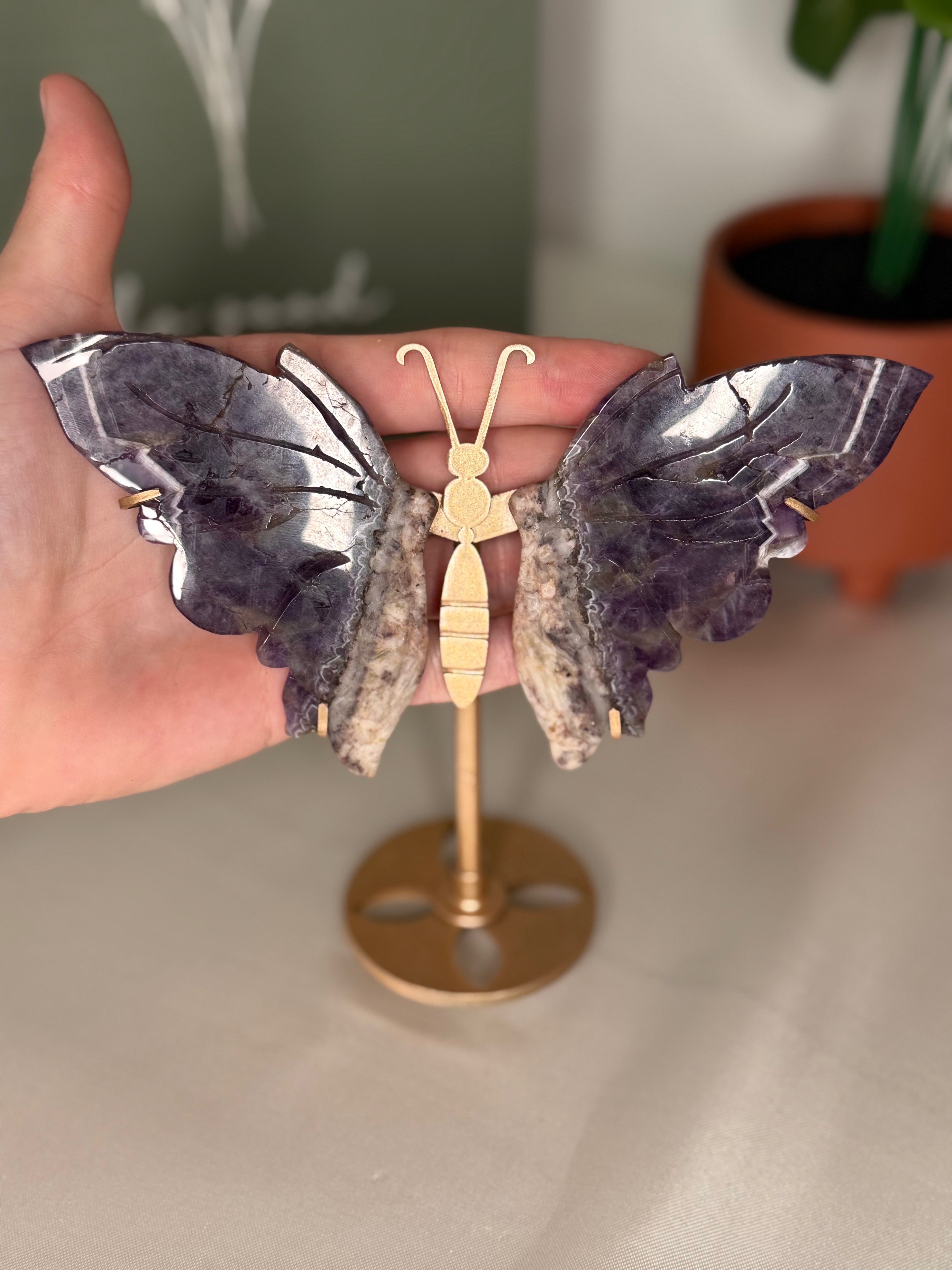 Chevron amethyst root butterfly wings on a stand
