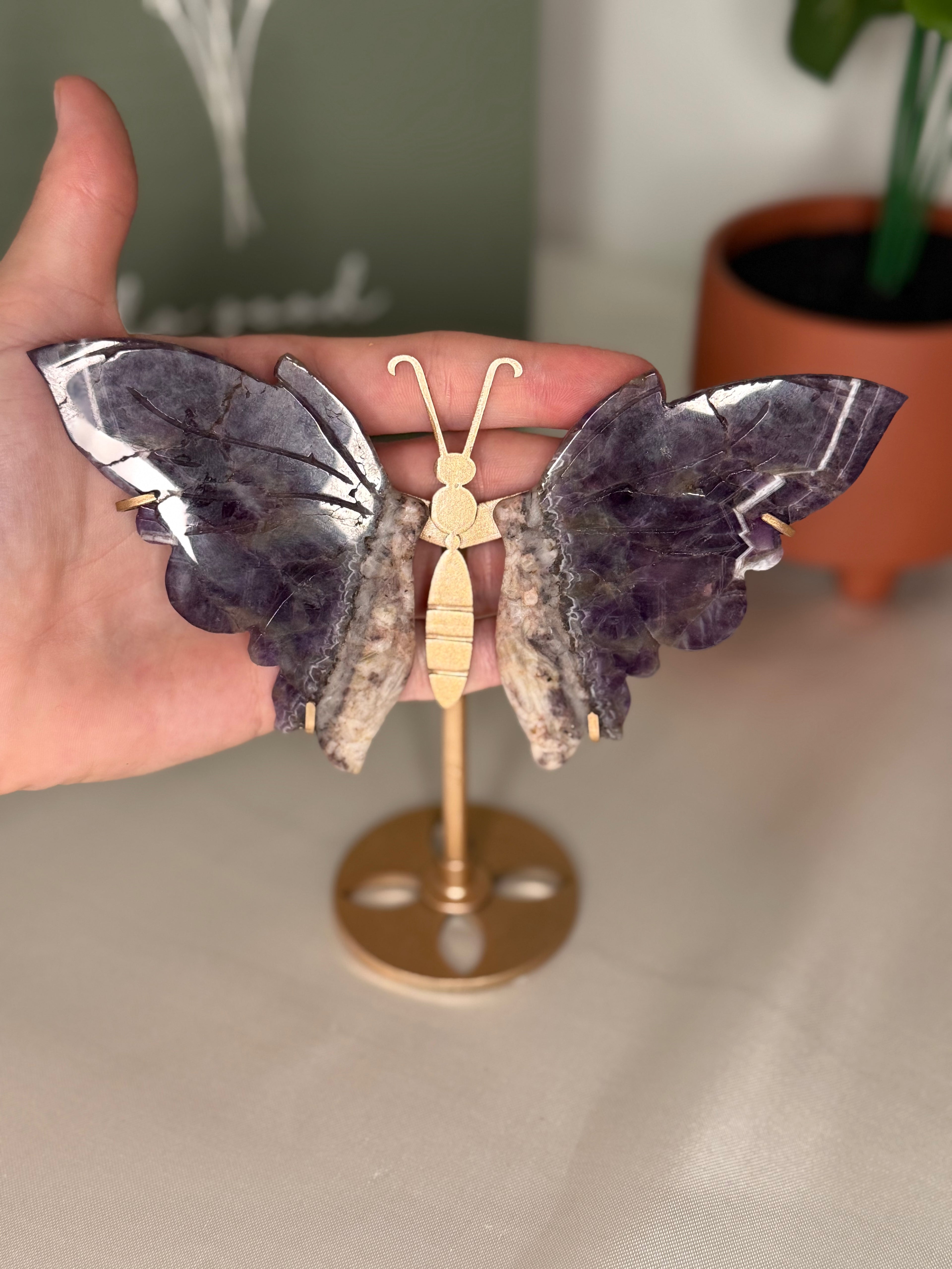 Chevron amethyst root butterfly wings on a stand