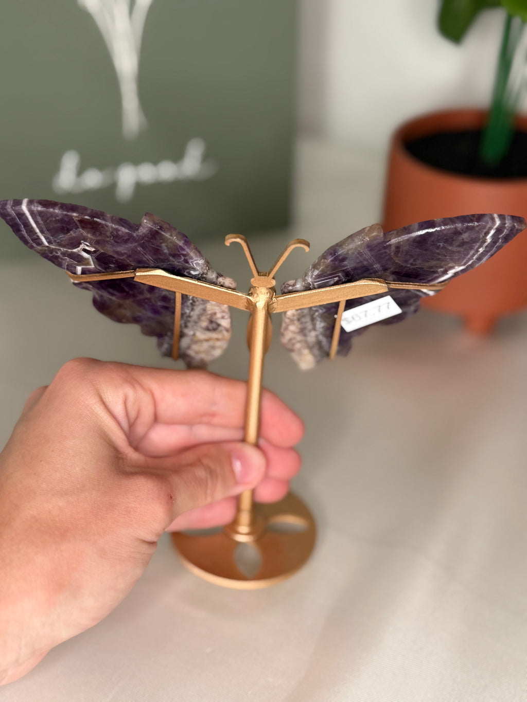 Chevron amethyst root butterfly wings on a stand