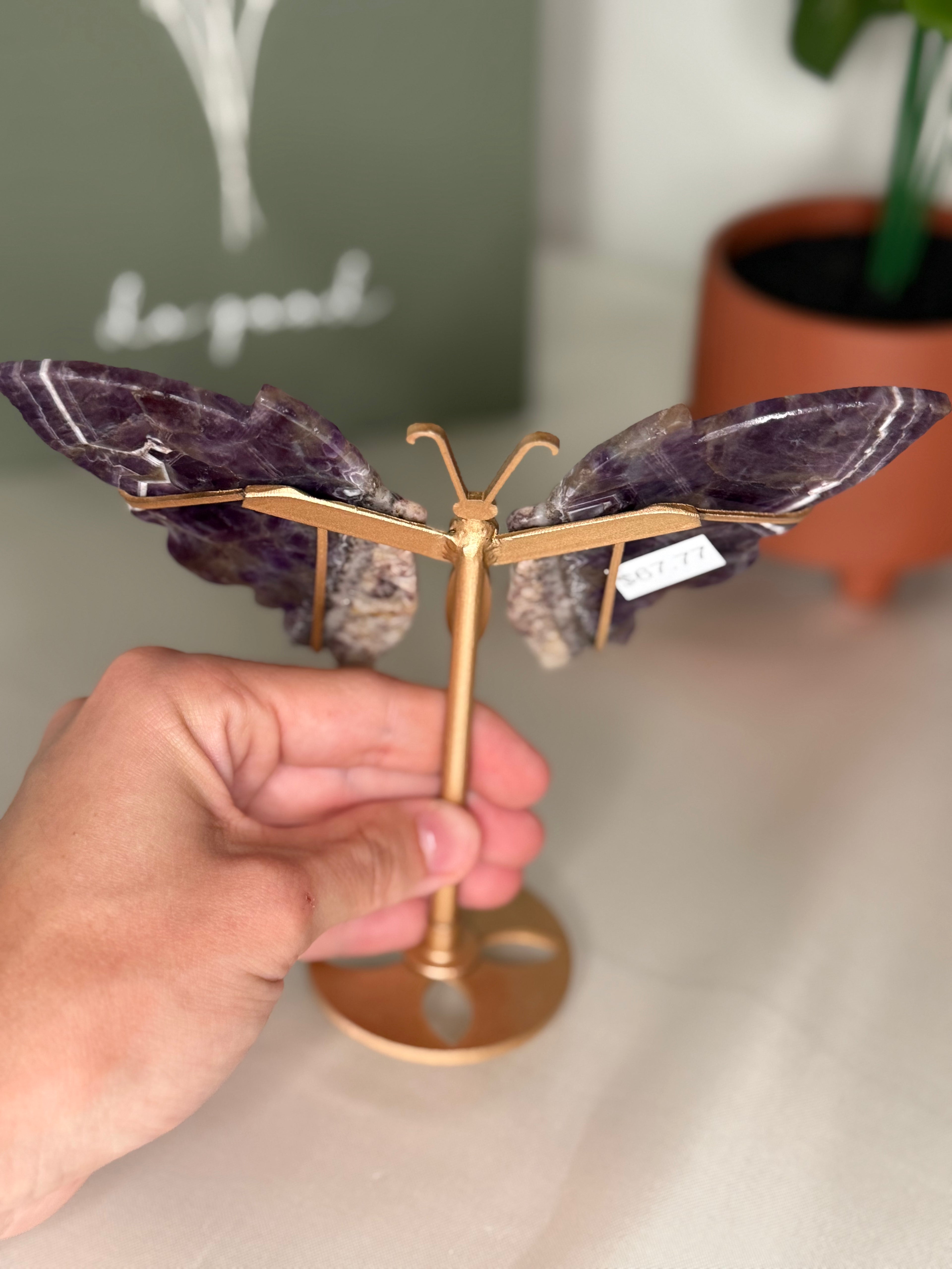Chevron amethyst root butterfly wings on a stand
