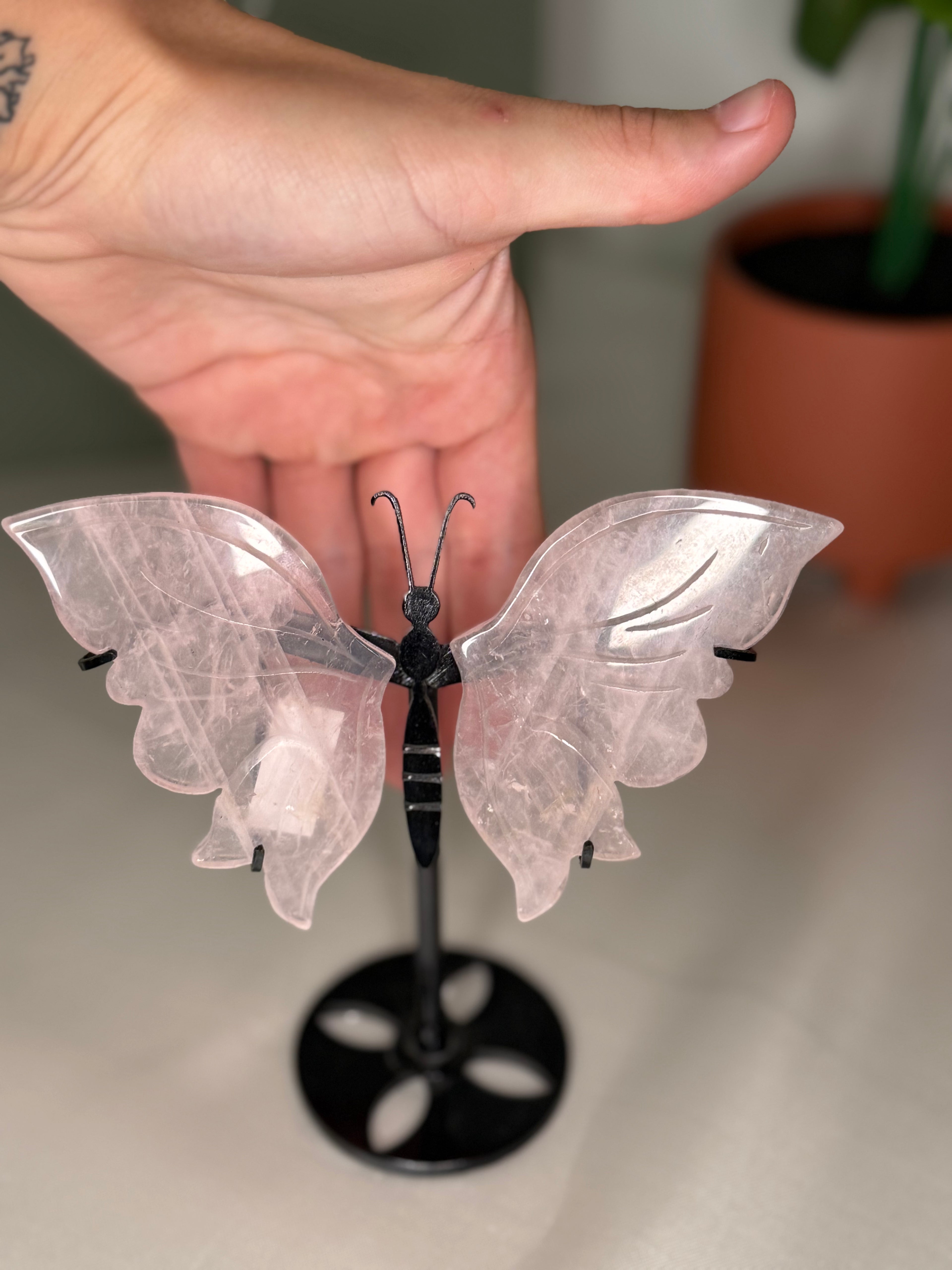 Rose quartz butterfly wings on a stand