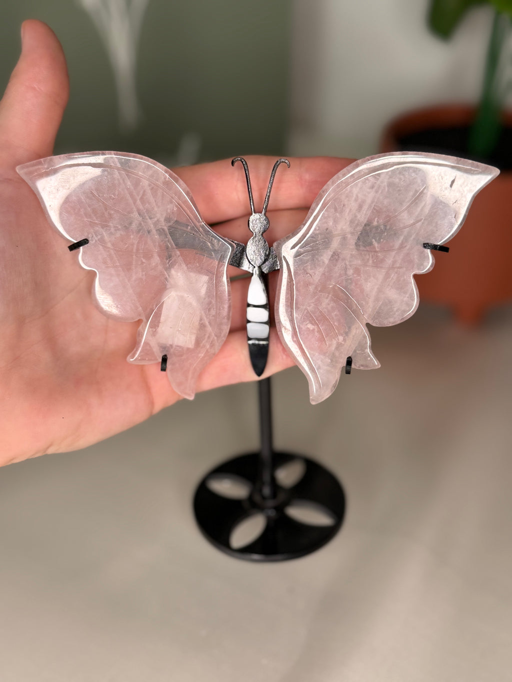 Rose quartz butterfly wings on a stand