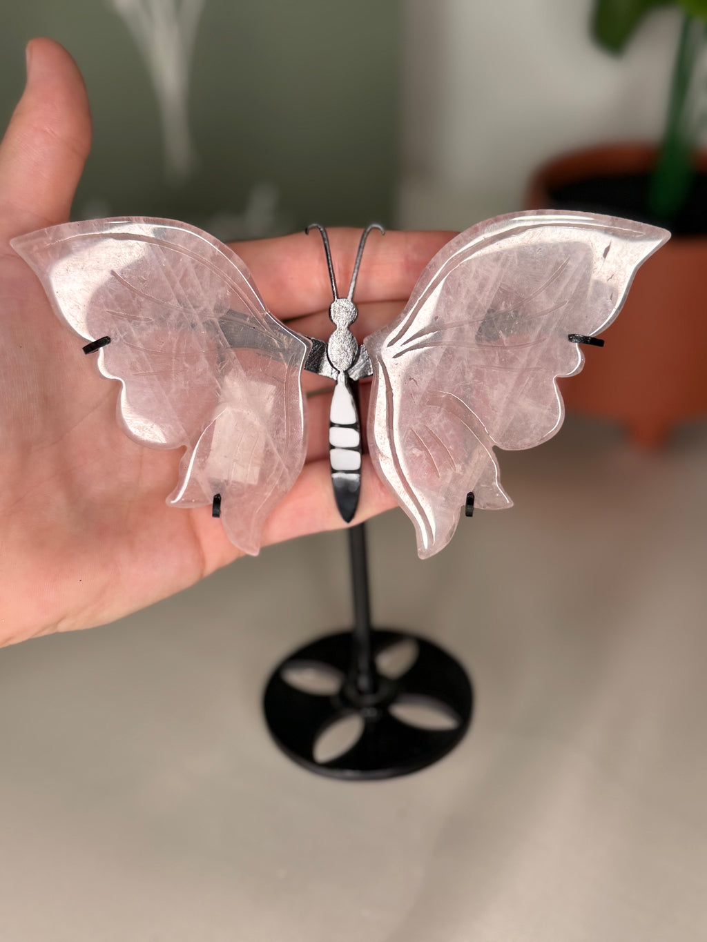 Rose quartz butterfly wings on a stand