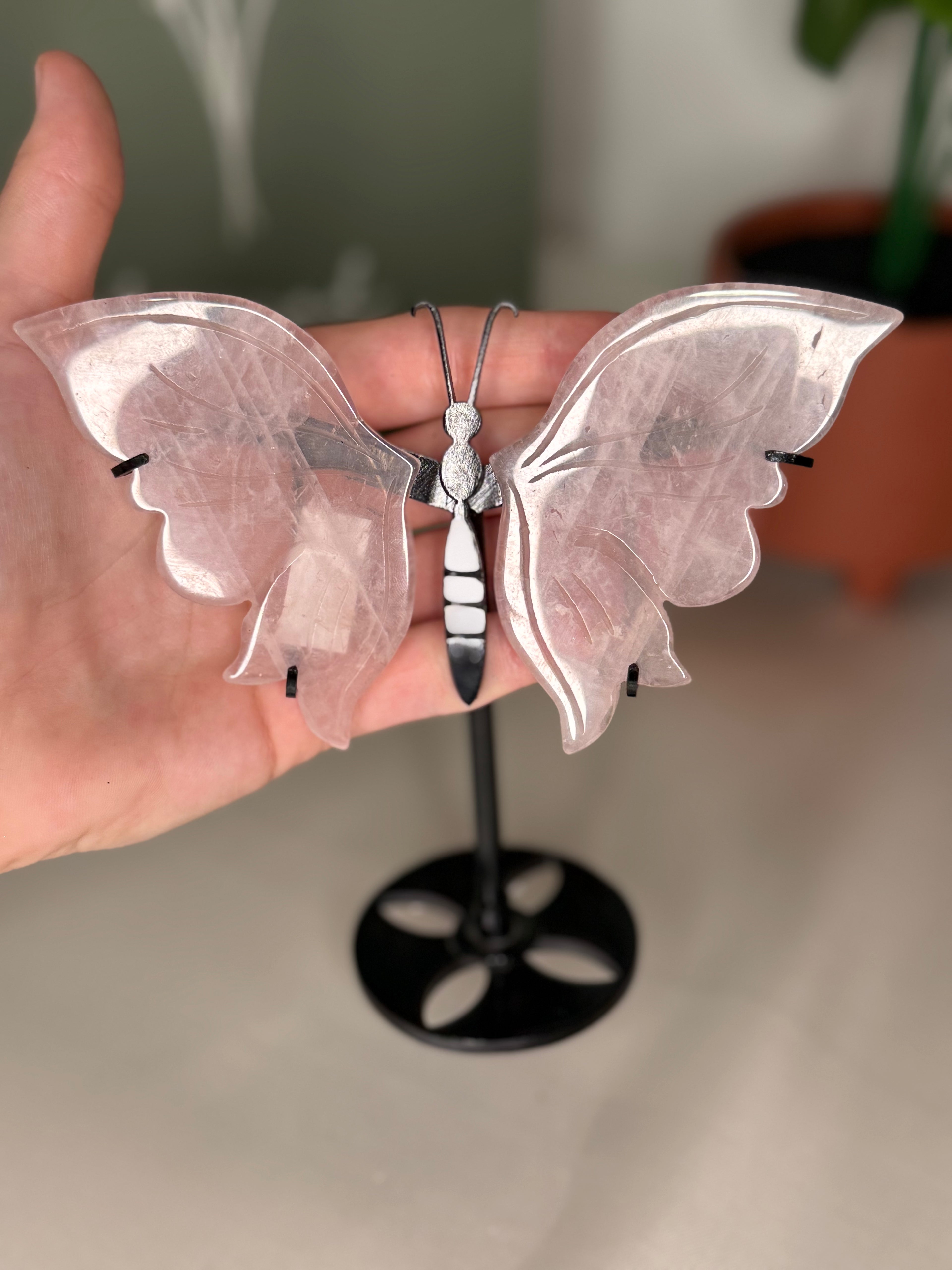 Rose quartz butterfly wings on a stand