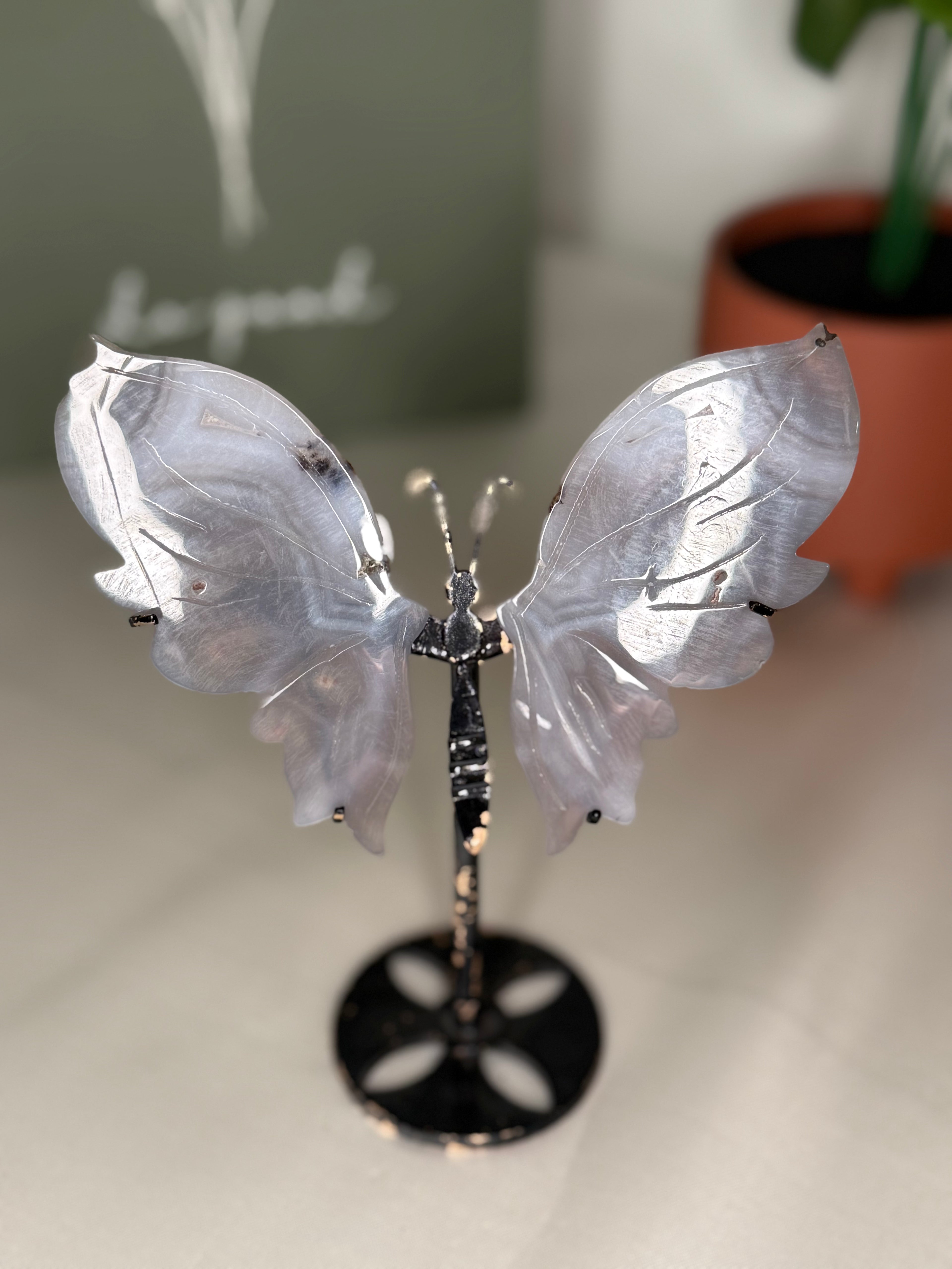 Imperfect agate butterfly wings on a stand