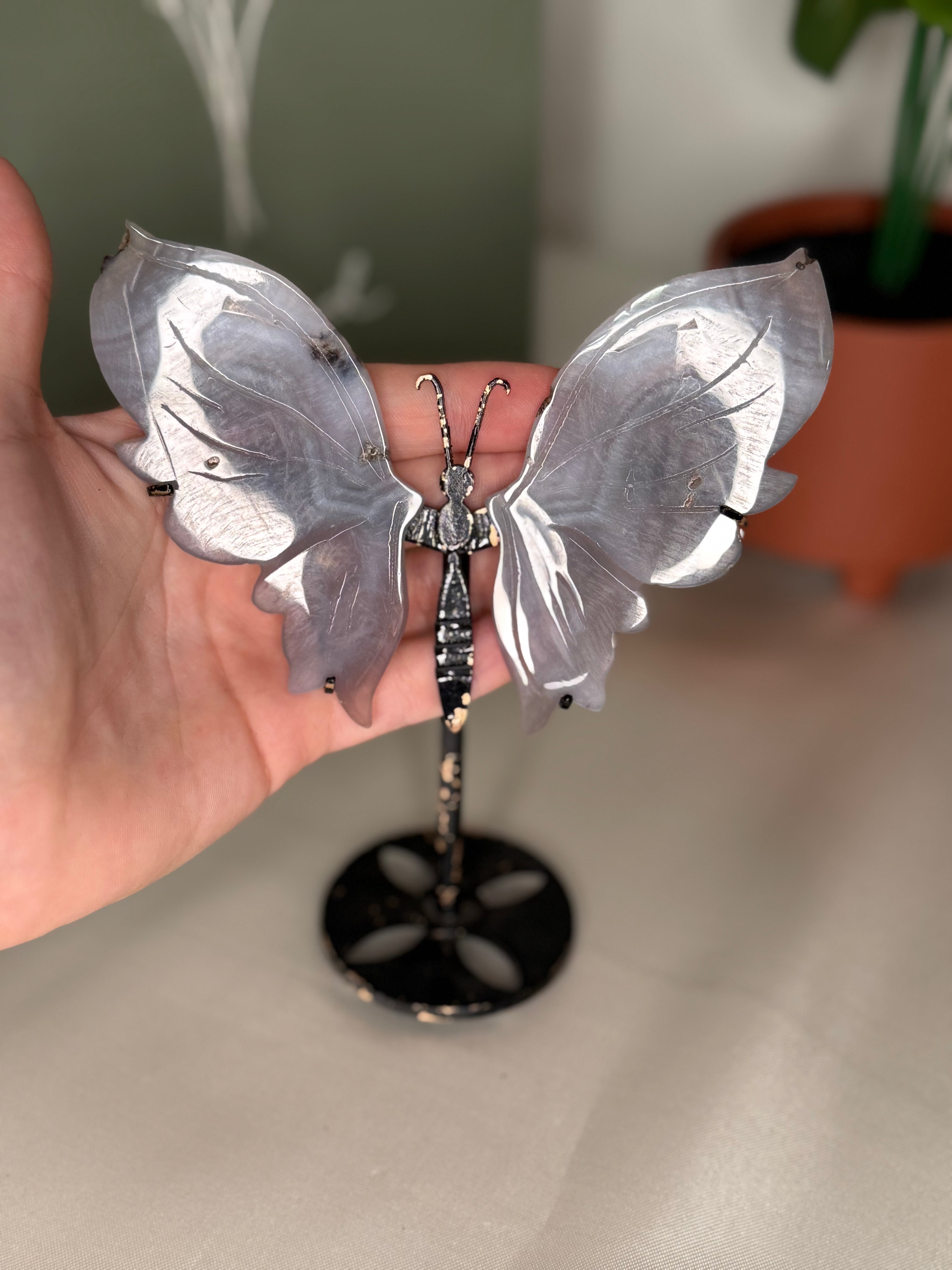 Imperfect agate butterfly wings on a stand