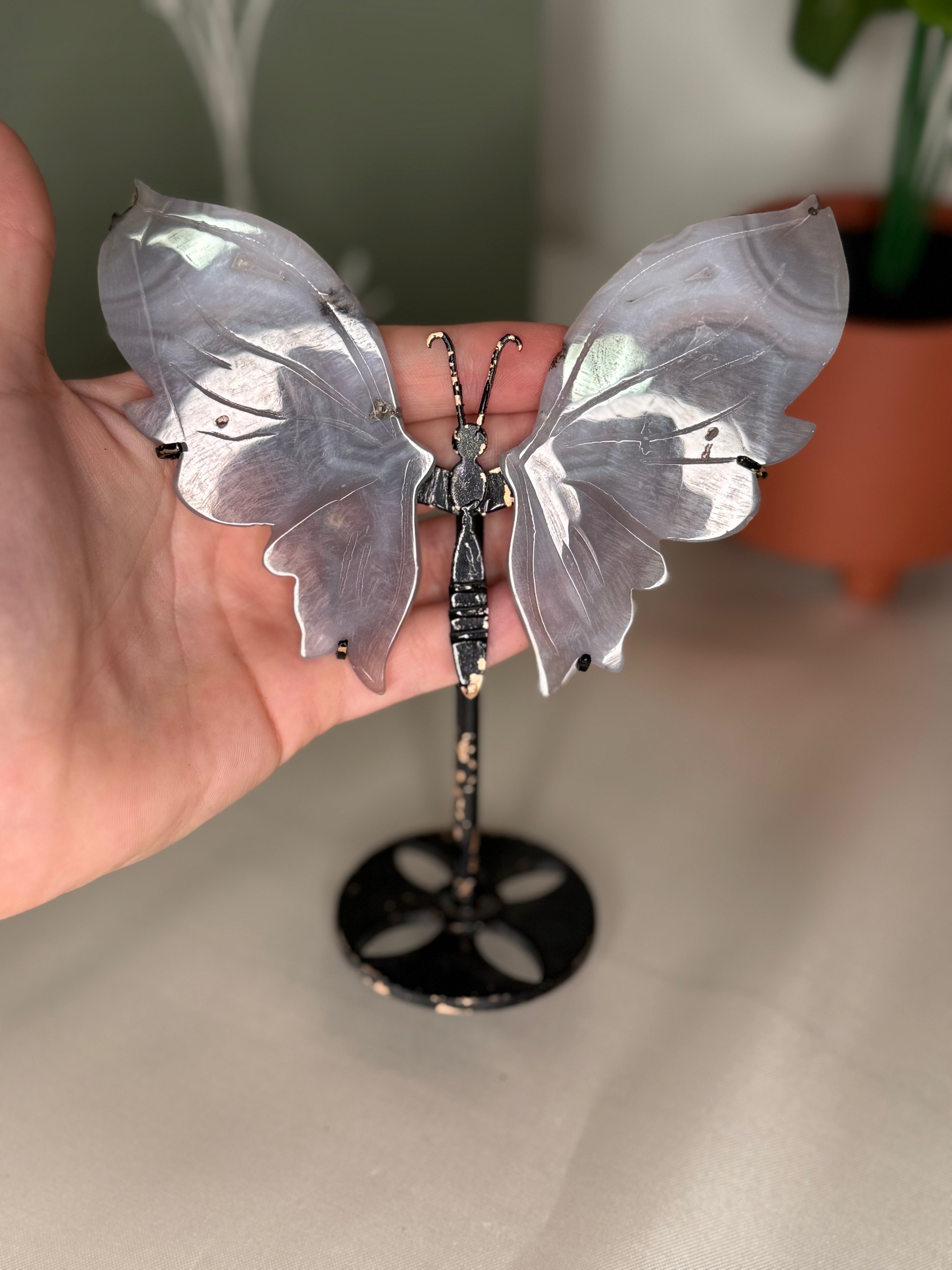 Imperfect agate butterfly wings on a stand