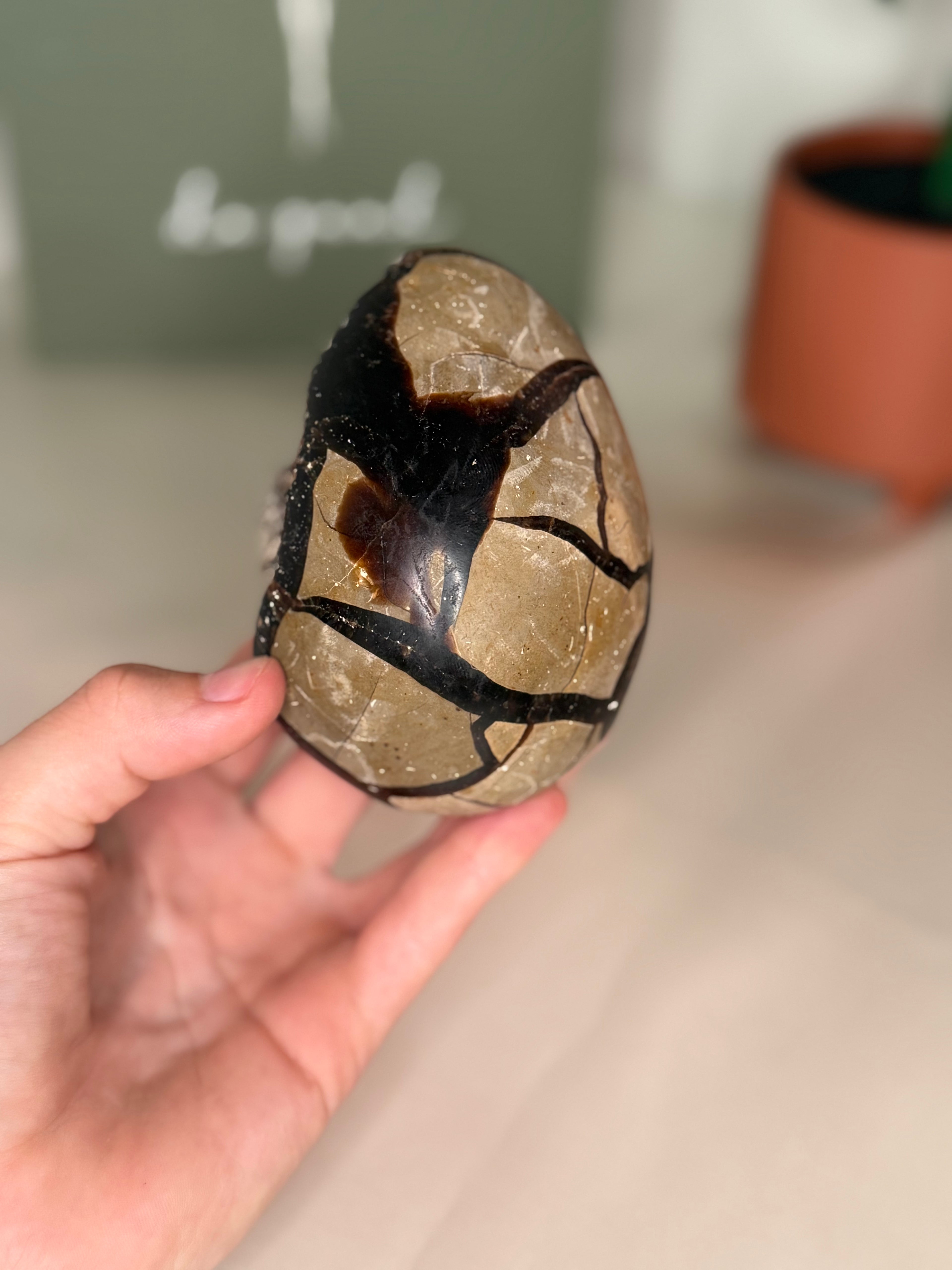 Large septarian egg (uv reactive)