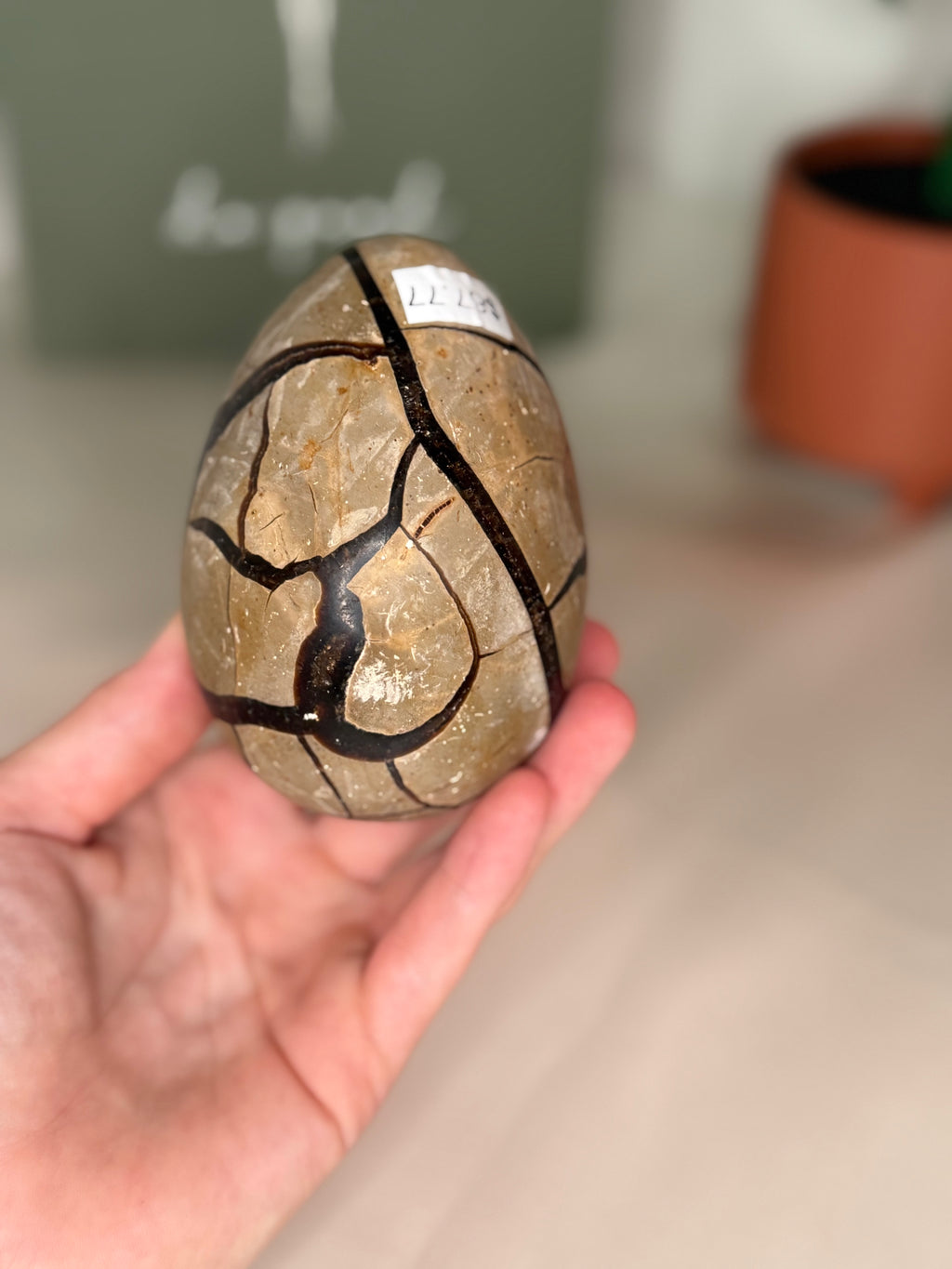 Large septarian egg (uv reactive)