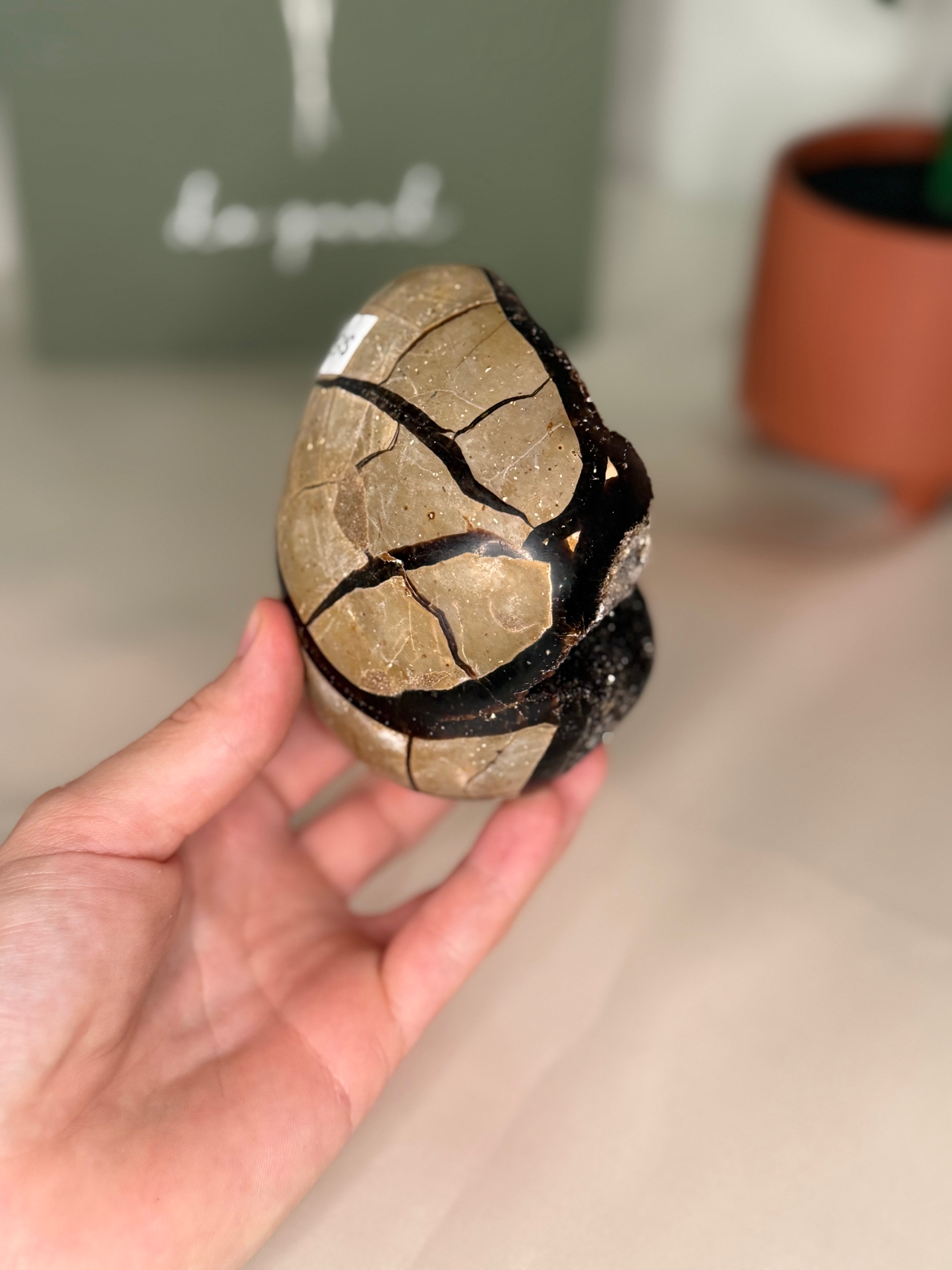Large septarian egg (uv reactive)