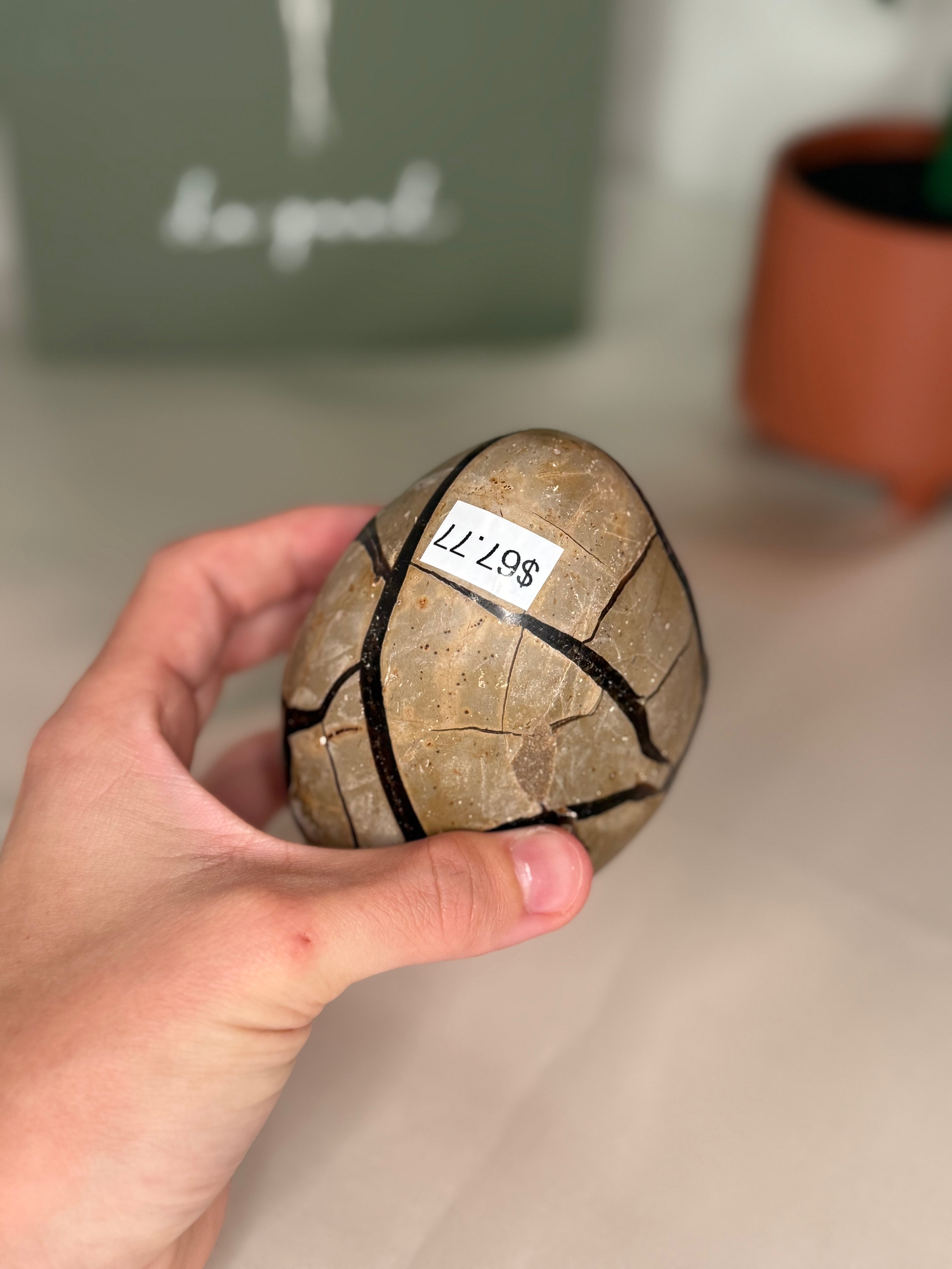 Large septarian egg (uv reactive)