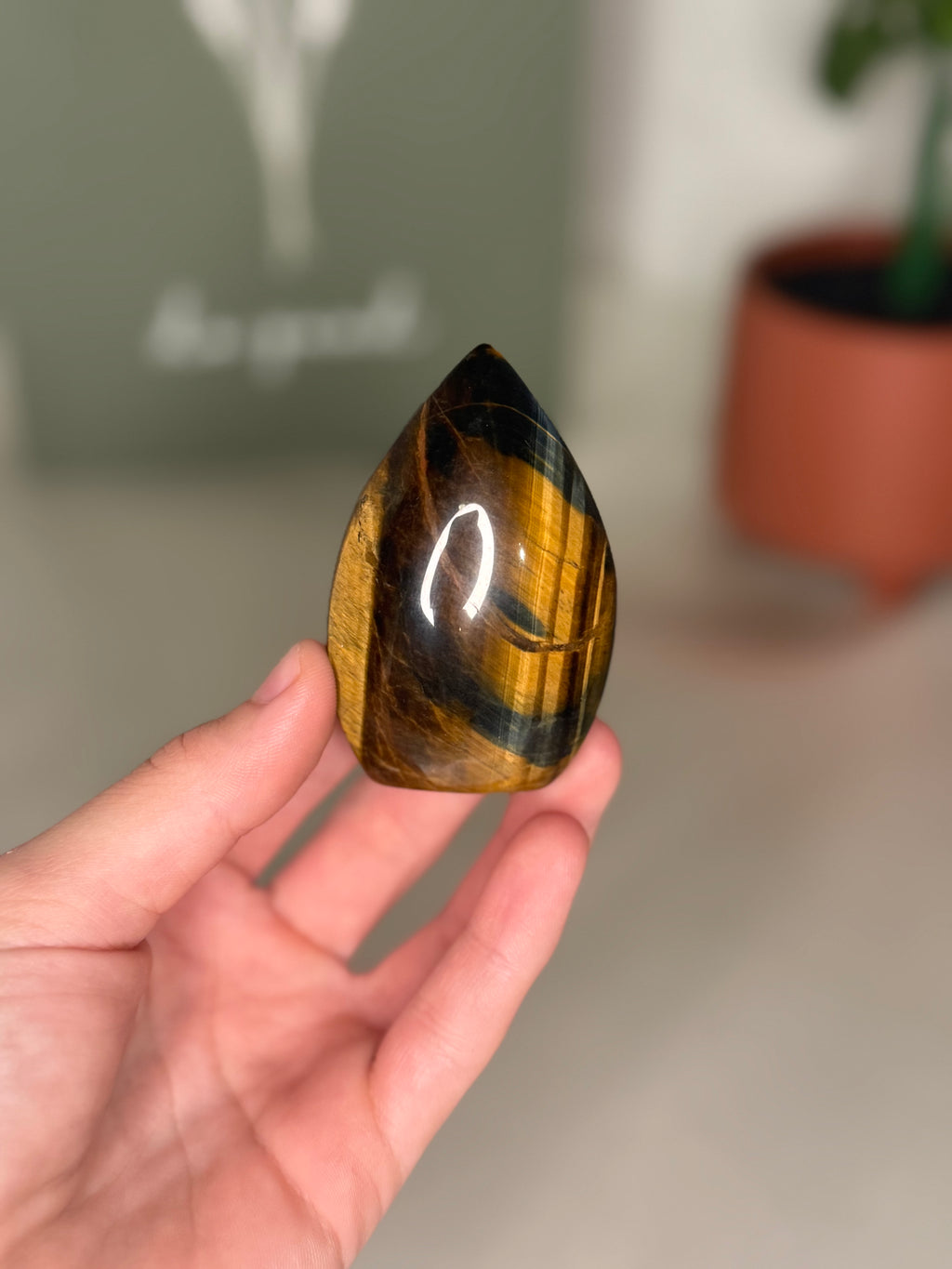 Tigers eye portal