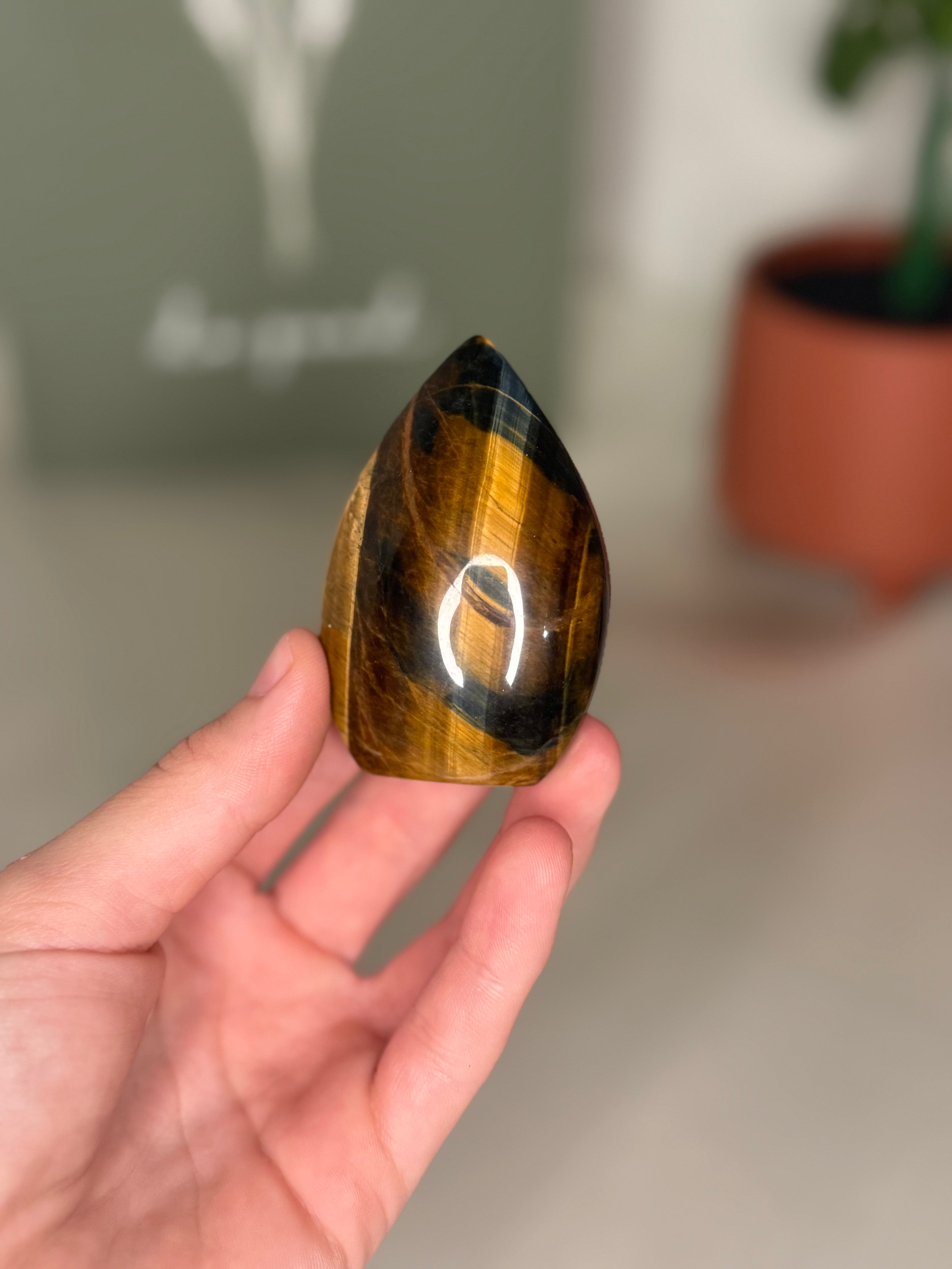 Tigers eye portal