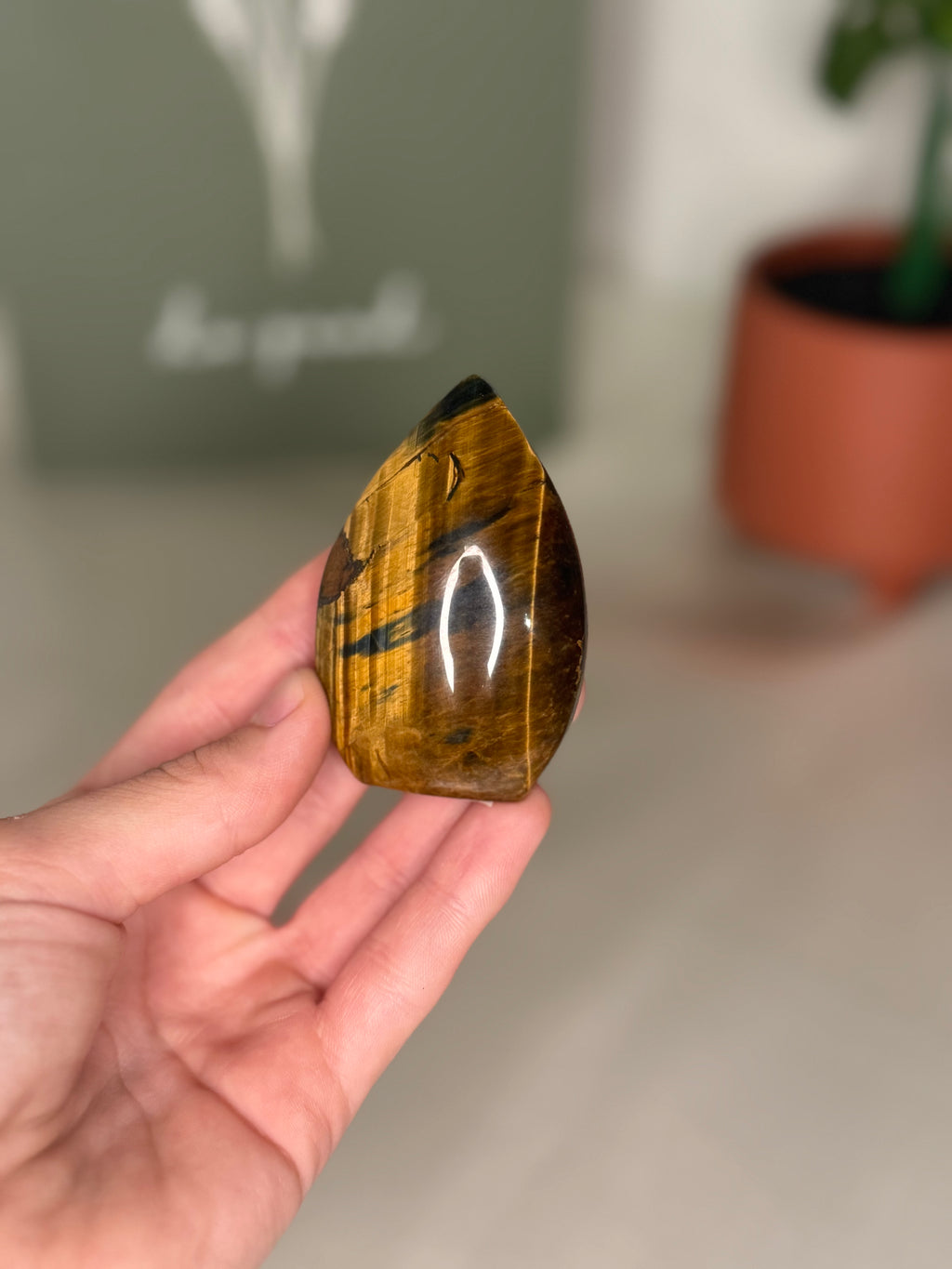 Tigers eye portal