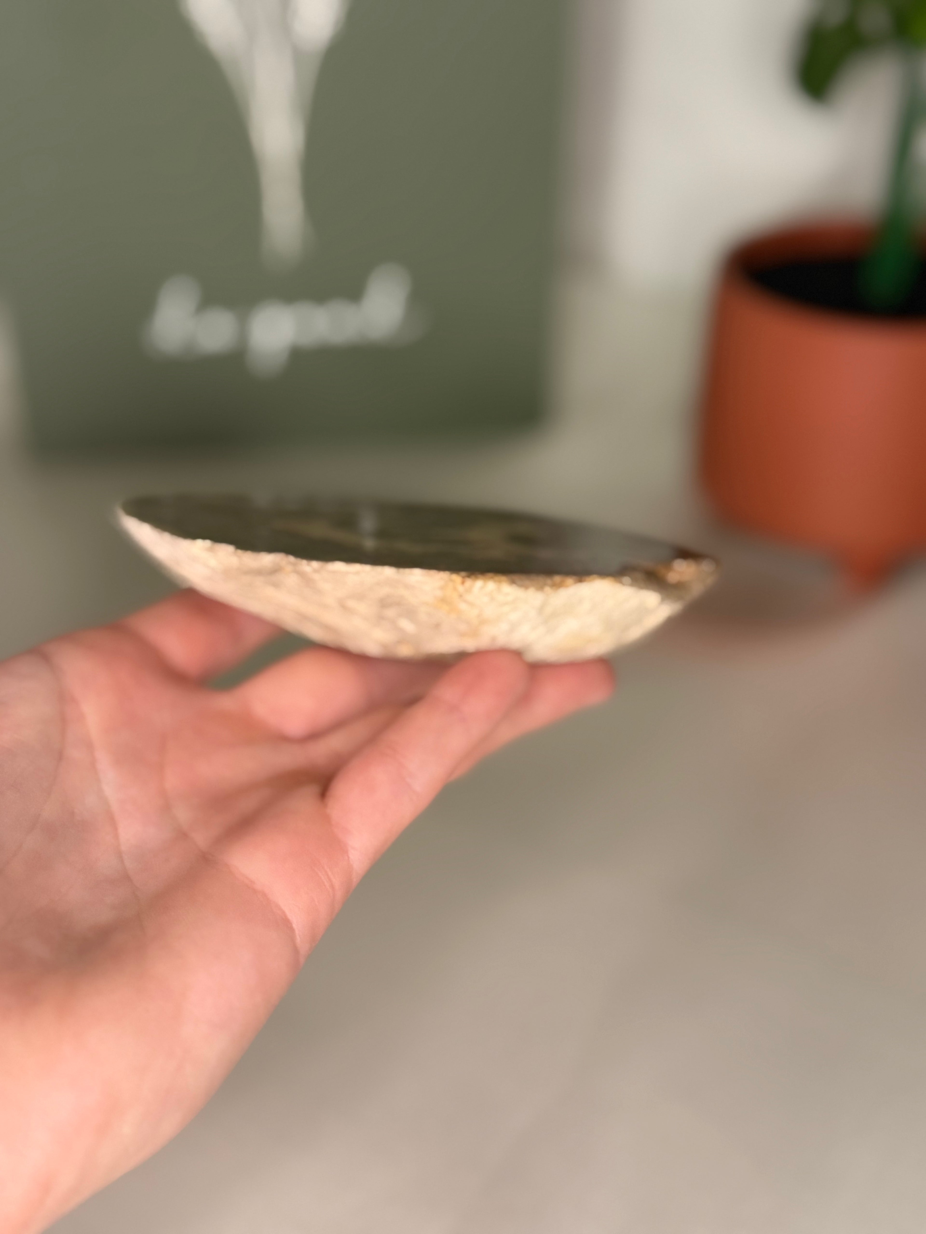 Septarian plate (uv reactive)