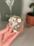Flower agate slabs