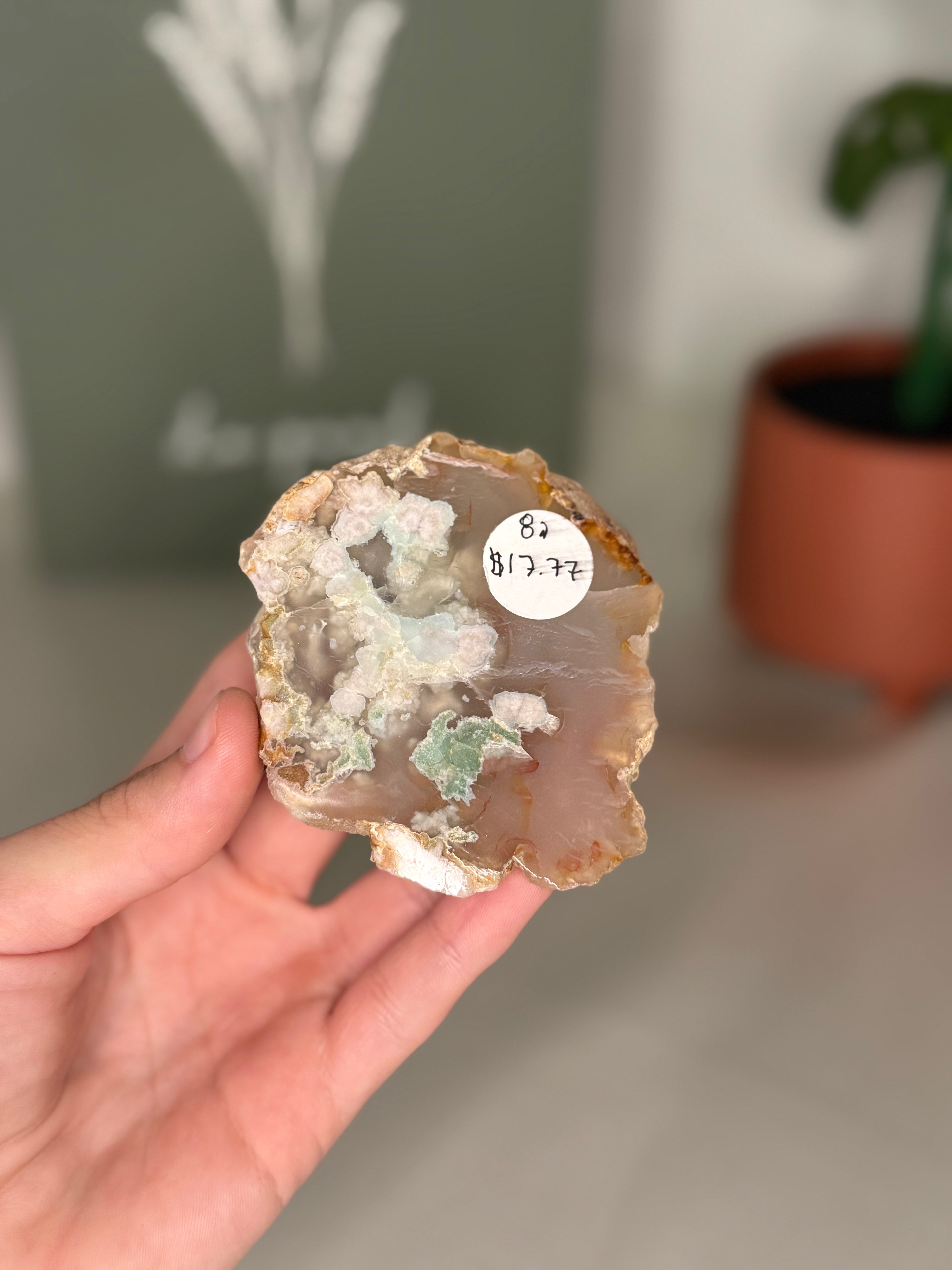 Flower agate slabs