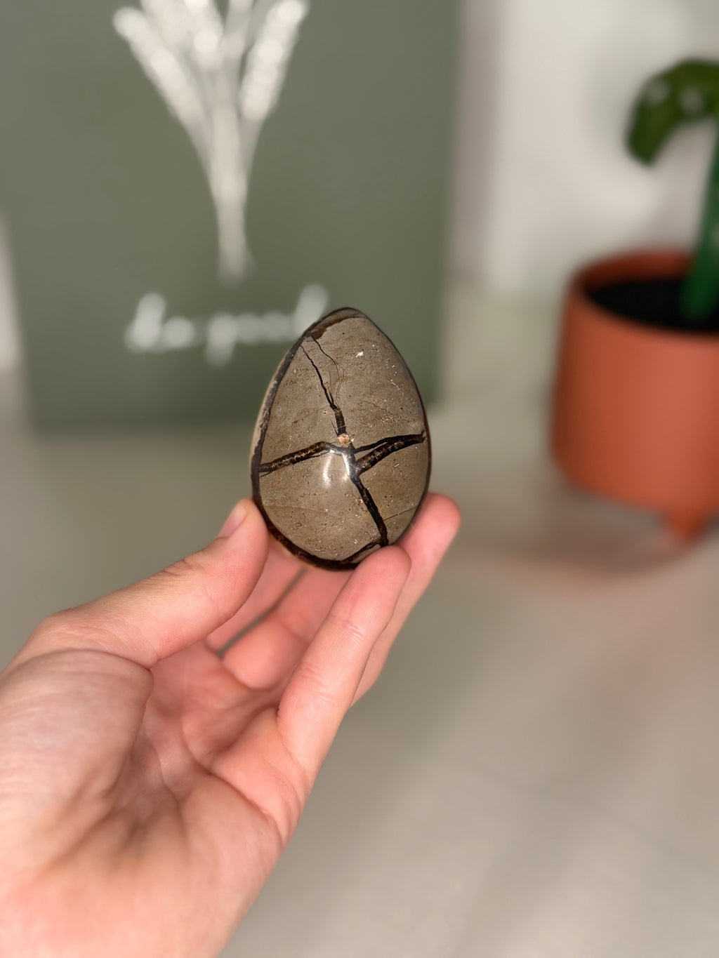 Septarian egg (uv reactive)