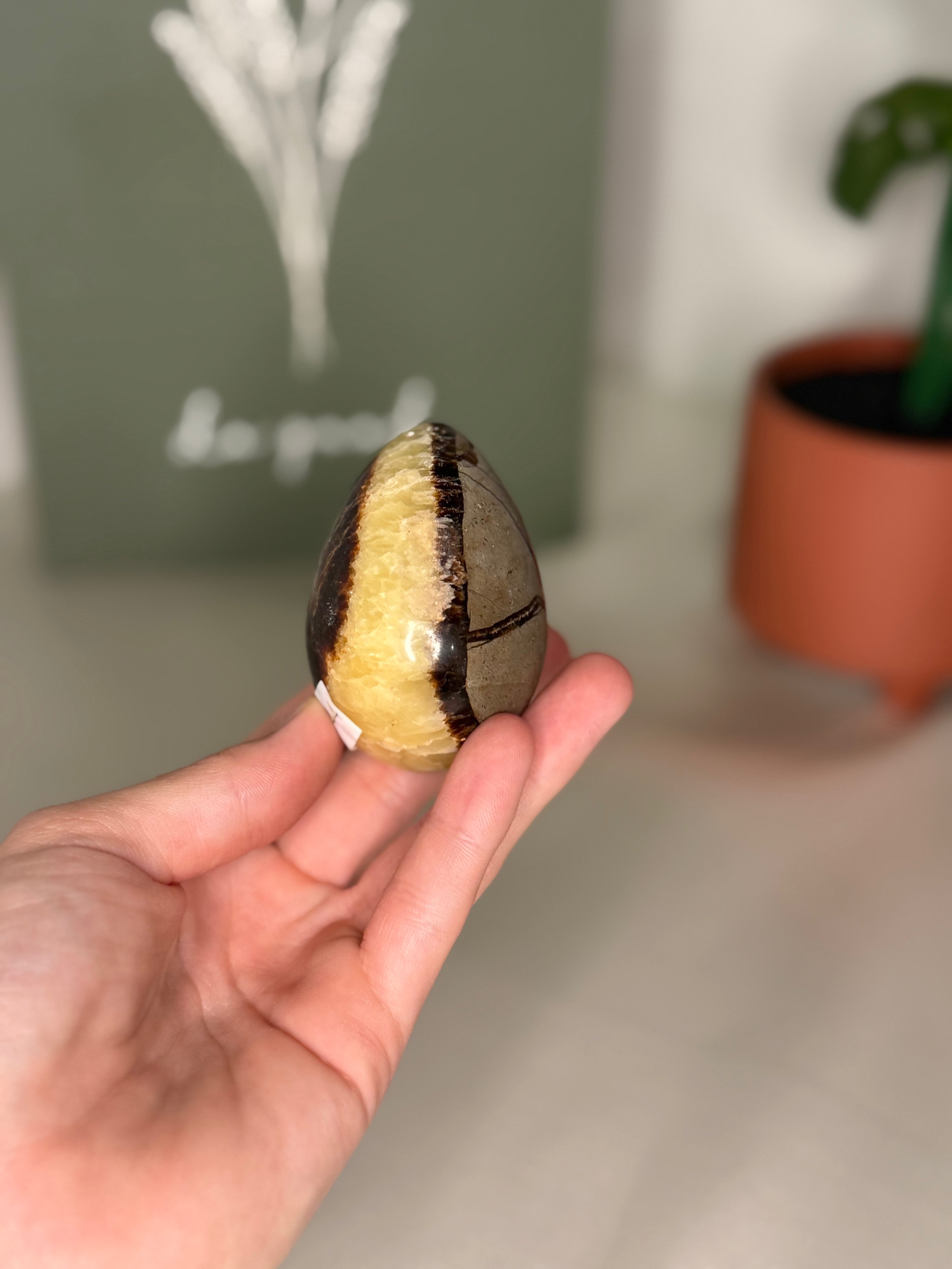 Septarian egg (uv reactive)
