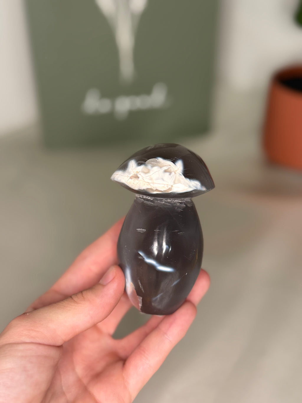 Orca agate mushroom