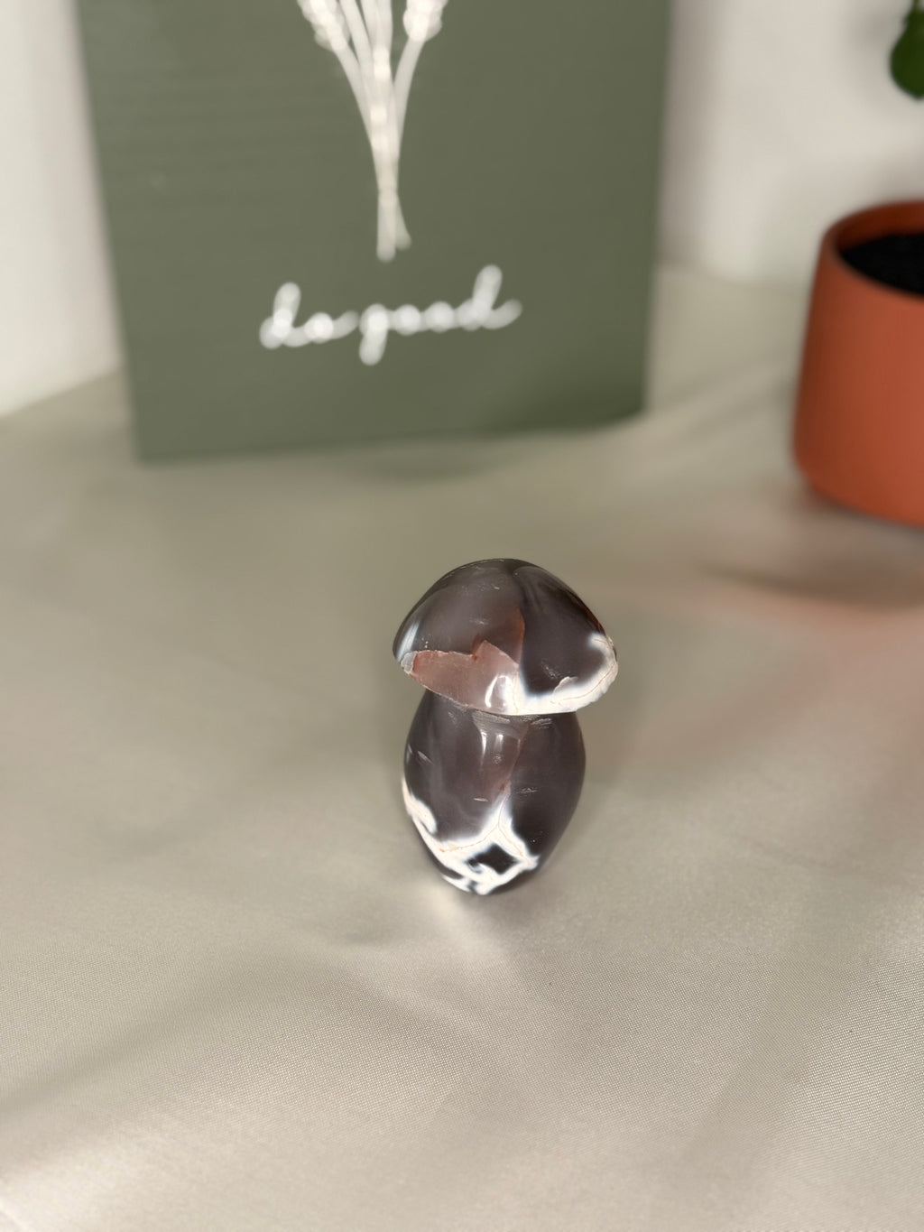 Orca agate mushroom