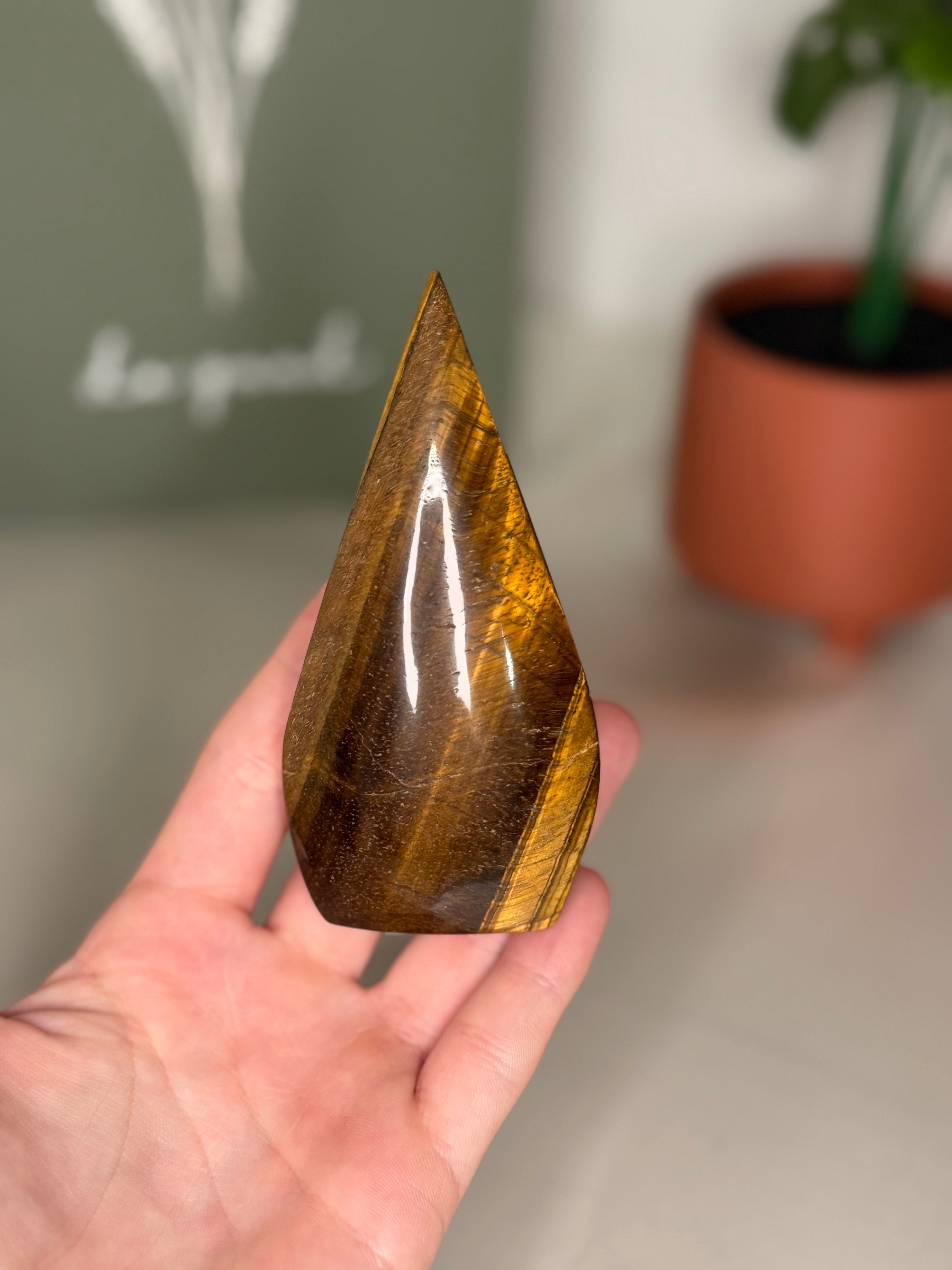 Tigers eye portal