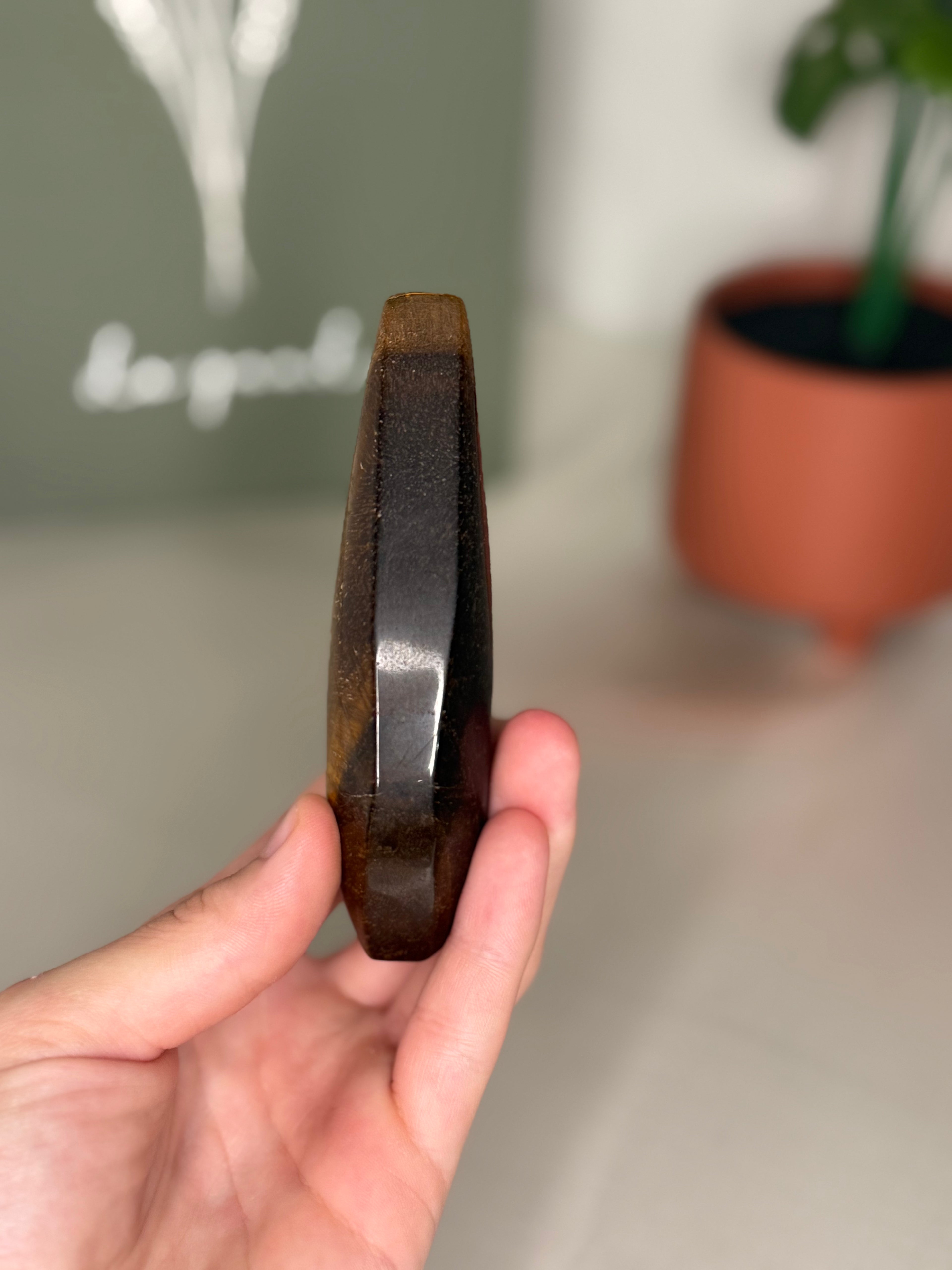 Tigers eye portal